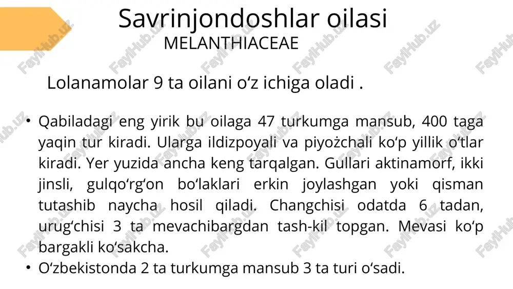 iy osiyo va yaqin sharq mamlakatlari. crocus — ko‘p yillik, piyozbargli o‘simlik bo‘lib, asosan erta bahorda yoki ba’zi turlari kuzda gullaydi. barglari ingichka, o‘tkir va ko‘pincha gullash vaqtida chiqa boshlaydi. guli truba (naycha)simon bo‘lib, ko‘pincha binafsha, sariq, oq yoki ko‘k rangda bo‘ladi. gullar yerga yaqin joylashgan bo‘lib, asalari kabi changlatuvchilarni jalb qiladi. loladoshlar oilasi liliaceae bu oila 10 turga mansub 500 turni o'z ichiga oladi. u dunyoning hamma joylarida, ayniqsa evroosiyo va evropada uchraydi. o‘zbekistonda liliaceae oilasiga kiruvchi 4 ta turkumga mansub 70 ga yaqin tur o‘sadi. so‘nggi yillarda gagea (boychechak) va tulipa (lola) turkumlaridan aniqlang yangi turlar 1941 yilda nashr etilgan o‘zbekiston florasining birinchi jildiga kiritilmagan. ushbu oilaning ko‘plab turlari o‘zbekiston respublikasi “qizil kitobi”ga kiritilgan. ca(3+3) co(3) a(3+3) g(3) greg lolasi boʻyi 10-45 sm gacha yetadigan koʻp yillik piyozchali oʻt oʻsimlik. popuk ildiz tizimiga ega. piyozi tuxumsimon yoki yumaloq, tashqi qobigʻi qalin charmsimon. barglari 3-4 dona, bandsiz, egri-bugri, yuqori …