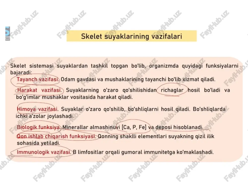 skelet - Page 3