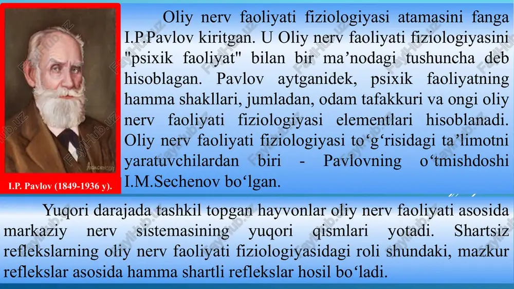 larga taʼsiri natijasida yuzaga keladigan reflekslarni ifodalash uchun fanga kiritgan. masalan, ogʻizga ovqat tushganida soʻlak ajralishi, barmoqqa oʻtkir narsa sanchilganida tortib olinishi va boshqalar. shartsiz reflekslar asosan, markaziy nerv sistemasining quyi boʻlimlari (gangliylar, orqa miya, bosh miya dastasi va boshqalar) bilan bogʻliq. shartsiz reflekslarda qoʻzgʻalishning retseptorlardan effektorga oʻtadigan yoʻli reflektor yoyi deyiladi. shartsiz reflekslar turning barcha individlari uchun umumiy boʻlib, organizm xatti-harakatini doimiy (oʻzgarmas) muhit sharoitiga moslanishini taʼminlaydi. shartsiz r. ontogenez va filogenezda oʻzgarib boradi. chaqaloqlarda hayot davomida yoʻqolib boradigan emish refleksi sof holdagi shartsiz reflekslarga misol boʻla oladi. odam voyaga yetgan sari yangi (mas, jinsiy) reflekslar paydo boʻla boradi. voyaga yetgan odam va hayvonlarda shartsiz reflekslar sof holda uchramaydi; shartsiz reflekslar shartli reflekslar bilan qoʻshilib ketadi. shartsiz va shartli reflekslar oʻrtasidagi farq nisbiy boʻlganidan ularni tasnif qilish ancha qiyin. taʼsirlovchi taʼsiri xususiyatiga va javob reaksiyasining biologik mohiyatiga binoan shartsiz reflekslarni himoya, oziqlanish, jinsiy, moʻljal olish va boshqa xillarga ajratiladi. …