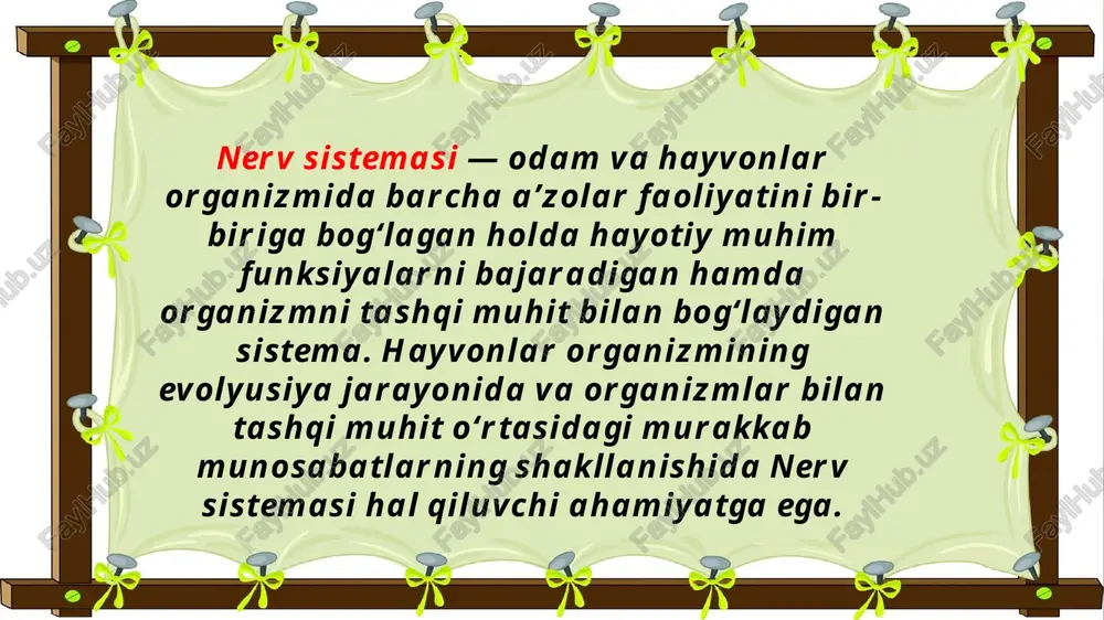 onal javobning vujudga kelishi reflektor yoyi uchun xos boʻlgan xususiyatlar hisoblanadi. reflektor yoyining markaziy qismi keladigan va chiqadigan im-pulyelarni nazorat qilish sistemasiga ega. sut emizuvchilarning markazii nerv sistemasis.da eng sodda reflektor yoyi monoseptik yey hisoblanadi. odatda umurtqali hayvonlar markazii nerv sistemasis.dagi reflektor yoylari miya boʻlimlaridan ham tashqariga chiqadigan nerv hujayralarining murakkab tutashuvidan iborat. o’rta miya-bu reflekslar shundan iboratki, hatto yarimsharlardan mahrum bo‘lgan, ammo o‘rta miyasi butun qolgan hayvon yorug‘lik ta’siriga javoban ko‘z va tana harakatlari bilan reaksiya ko‘rsatadi. ko‘z mushaklariga ko‘zni harakatlantiruvchi va g‘altaksimon asablaming yirik hujayrali yadrolaridan impulslar kelib turishi tufayli ko‘z refleksyo‘li bilan harakatlanadi. to‘rt tepalikning 76 oldingi do‘mboqlari qorachiq refleksining yuzaga chiqishida qatnashadi. 0 ‘rta miyaning birlamchi ko‘ruv markazlari bilan aloqador reflekslarga ko‘z akkomodatsiyasi va ko‘ruv o‘qlarining bir nuqtaga kelishikonvergensiya kiradi. to 'rt tepqlikning orqa do ‘mboqlari birlamchi eshituv markazlari bo‘|ib, tovush kelayotgan tomonni chamalab bilish reflekslarining yuzaga chiqishida: hayvonlarning qulog‘ini ding qilishida, bushi \ i gavdasirii …