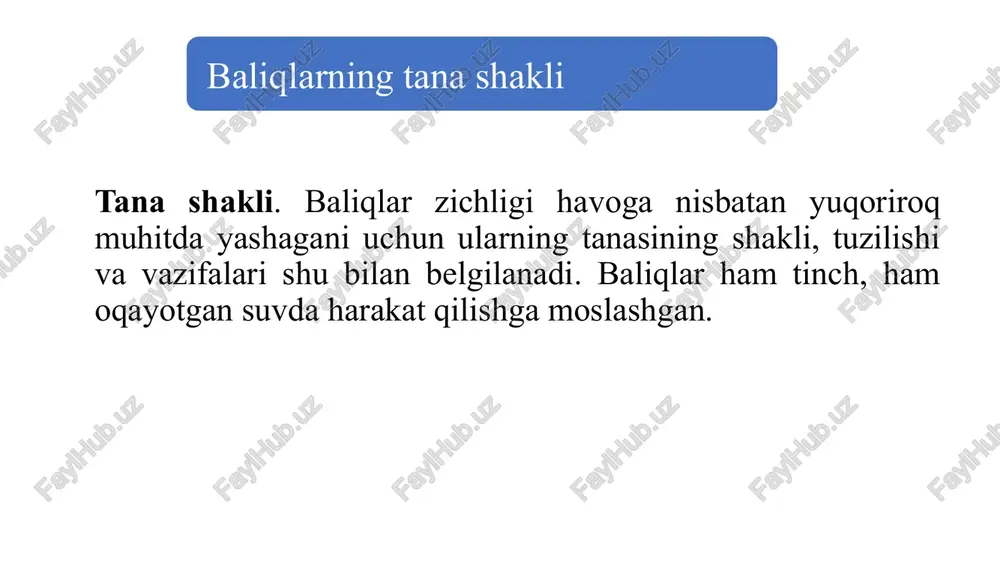 oldinga chiqadi (tog’ayli va osyotr baliqlar). ko'pgina baliqlarning boshlarida sezgi va ta'm organlari sifatida mo’ylovlari mavjud. mo’ylovlar soni va ularning o'lchamlari turli turlar orasida farq qiladi, bu muhim sistematik xususiyatidir. laqqa va yalangbaliqlarda bir necha juft mo’ylovlari mavjud. suyakli baliqlarning boshini hisoblamaganda, ularning ko’pchiligining butun gavdasi suyak tangachalar ilan qoplangan. suyak tangachalar tomga yopiladigan cherepitsadek bir-birining ustiga yotadi. har qaysi tangacha yumaloqlashgan yupqa plastinkadan iborat bo’lib, asosiy qismi teri ichida turadi, tashqi cheti esa mayda arra tishli bo’ladi. bunday tangachani ktenoid tangacha deyiladi, suyakli baliqlarning ayrim turlarida yana sikloid tangachalar ham bo’lib, ularning arra tishli bo’lmay, balki tekis bo’ladi. bunday tangachalar zog’ora baliq, losos, plotva, karas va boshqa baliqlarda bo’ladi. teri qoplami baliqlar tanasining boshidan to dum suzgich qanotigacha to’g’ri yon chiziq bo’ladi. bu organ tangachalarni teshib o’tgan qator teshikchalardan hosil bo’lgan. teshiklarning oxirgi uchi nerv uchlari bilan yon chizig’i joylashgan maxsus kanalga ochiladi. yon chizig’i suv sharoitidagi o’zgarishlarni qabul …