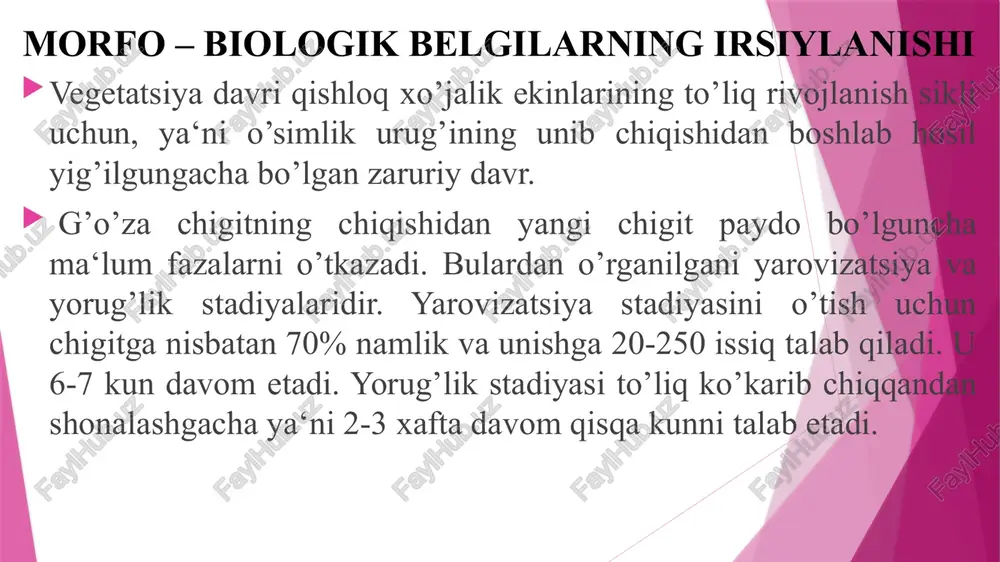 kurtaklari barg qo’ltig’idan shoxlar paydo bo’ladi. urug’bargdan keyin 2-3 bo’g’imda shoxlar o’sib chiqishga harakat bo’ladi, lekin u rivojlanmaydi, aksincha soxta bo’g’im shaklida qoladi. 2-3 bo’qindan so’ng shoxlar barg qo’ltig’idan o’sib chiqadi. dastlab o’suv shoxlar, so’ngra hosil shoxlar paydo bo’ladi. o’suv shox (monopodial) bir yoki ikki dastlabki bo’g’indan o’sadi. keyingi bo’g’inlardan esa hosil shox (simpodial) paydo bo’ladi. hosil shox barg qo’ltig’ida birinchi shona paydo bo’lishi bilan ko’rina boshlaydi. keyinchalik hosil shox yon kurtaklar hisobiga o’sa boshlaydi. tashqi sharoit qulay kelsa hosil shoxlar soni 10-15 va undan ham ko’proq bo’lishi mumkin. hosil shox 2 xil bo’ladi: cheklangan va cheklanmagan. agar ko’sak yoki meva bir necha bo’g’im hosil qilib asosiy poyaga birikadigan bo’lsa cheklanmagan hosil shox deyiladi, bir bo’g’imli bo’lib, unga shona bandi bilan biriksa cheklangan xosil shox deyiladi. bundan tashqari «nol» tipli g’o’zalar bo’ladi. bunda hosil organ bandi bilan bevosita g’o’zaning poya bo’g’imlariga birikadi. bunday g’o’zalar xosildorligi past bo’lishi tufayli ishlab chiqarishda …