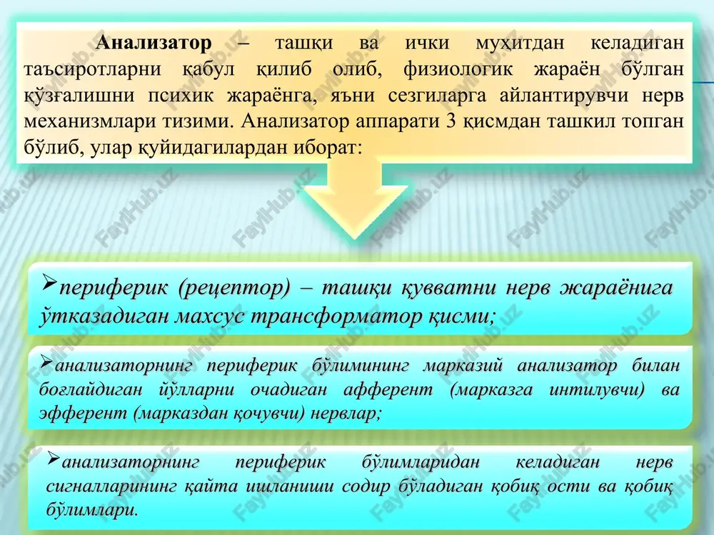 emis fizigi g.gelmgolts tomonidan uni to'la isbotlab berilgan ushbu nazariyaga binoan to'r pardaning kolbachalarida uchta asosiy element mavjuddir, ulardan birining qo'zg'alishi qizil rang sezgisini, ikkinchi qo'zg'alishi yashil rang sezgisi va uchinchi qo'zg'alishi binafsha rang sezgisini hosil qiladi. nazariyaga ko'ra yorug'lik to'lqinlari birdaniga uchta elementni bir xilda qo'zg'atsa, oq rang sezgisi vujudga keladi. lekin yorug'lik to'lqinlari ikki yoki uch elementga ta'sir qilsa-yu, ammo bu bir tekis kechmasa, u holda sezuvchi elementlardan har birining qanchalik qo'zg'aluvchanligiga qarab, har xil rang sezgilari namoyon bo'ladi. eshitish sezgilari tovushlarni eshitishdan iborat bo'lib, musiqaviy va shovqinli tovushlarni aks ettiradi. odatda tovushlar oddiy va murakkab turlarga ajratiladi, ularning birinchisi tonli, ikkinchisi esa bir necha tondan tashkil topadi. hid bilish sezgilariga hidlarni his qilish kiradi va ularning organi burun kavagining yuqori tomoni hisoblanib, bu erda hid bilish hujayralari hamda sezuvchi nerv tarmoqlari joylashgan. ular shilliq pardalarda botib turadi. hid bilish markazi bosh miya yarim sharlari orqa yuzasining pastki …