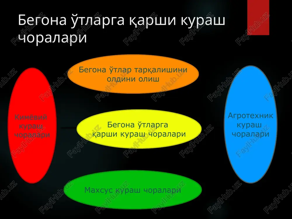 sidagi begona o'tlar soni 40-50% kamayadi. shumg'iyaga qarshi fitomiza pashshasi qo'llanilganda uning urug'i 71% gacha kamayadi. olovli kurash olovli kurash dastlabki vaqtlarda begona o'tlarga qarshi kurashda yaxshi samara bergan. ammo olovli kultivatorlar yordamida begona o'tlarni kuydirish murakkabligi uchun hozirgi vaqtda deyarli qo'llanilmayapti. mulchalash mulchalash uchun - plyonka, neft chiqindisi, maxsus qog'ozdan foydalanish mumkin. bu narsalarni qator ustiga yopish begona o'tlar o'sishini oldini oladi. begona o'tlarga qarshi kimyoviy kurash choralari begona o'tlarga qarshi kurashda - gerbitsidlar samarali vosita hisoblanadi. tuzilishiga ko'ra gerbitsidlar: anorganik va organik moddalarga bo'linadi. ekinlarga va begona o'tlarga ta'sir etishiga ko'ra gerbitsidlar tanlab ta'sir etuvchi va yoppasiga ta'sir etuvchi ikki guruhga bo'linadi. begona o'tlarga ta'sir etishga qarab kontakt va ichdan ta'sir etuvchilarga bo'linadi. kontakt ta'sir etuvchilar o'simlikning tekkan joyiga ta'sir etadi. ichdan ta'sir etuvchilar begona o'tlarning qaysi qismiga tegishidan qat'iy nazar uning tanasiga singib modda almashinuv jarayonini buzadi. slaydni davomi gerbitsidlar ovx - 28 apparatida yoppasiga, pgs - …