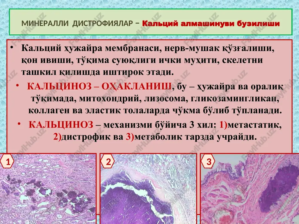 . 5) infarkt – skleroz, chandiq, kardioskleroz, kista. 6) fibrinoid nekroz – tomir yorilishi. 7) suzmasimon nekroz – oxaklanish, skleroz. 8) yotoq yara – chandiq, yiringlash. 9) ateromatoz nekroz – kaltsinoz, yaralanish. 10) elimsimon nekroz – skleroz, kista, oxaklanish. 11) apoptoz – fagotsitoz. nekroz – nekros – mahalliy o'lim oqibatlari