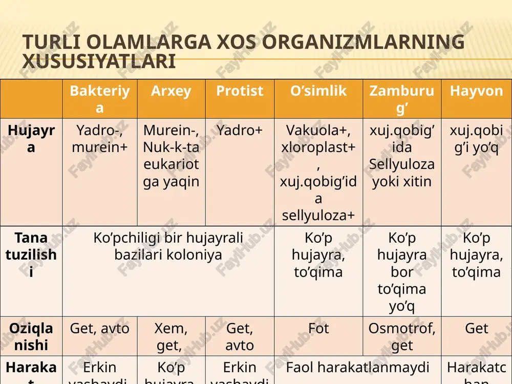 ark (1744-1829 j.kyuve sistemesi tip tushunchasini fanga kiritdi va hayvonlarni quyidagi tiplarga ajratdi: umurtqalilar bo’g’imlilar mollyuskalar nurlilarga barcha tiplarni 19 ta sinfga ajratdi. v.a.dogel 1981, o.mavlonov 2006 e.e. ruppert 2004 hayvonlarning olamining tiplari codda organizmlar - protistlar (protozoa) kichik olami 1. euglenozoa -evglenasimonlar 2. chlorophyta –yashil suvo’tlar 3. choanoflegallata – yoqachaxivchinlilar 4. retortamonada –retortamonadlar 5. axostylata – aksostillilar 6. alveolata-alveolalilar 7. caryoblasta- 8. heteroblasta- 9. amoebozoa -amyobalar 10. foraminiferea-foraminiferalar 11. actinopoda-aktinopodalar ko’p hujayralilar kichik olami (hayvonlar)– metazoa 12. porifera-bulutsimonlar 13. placozoa-plastinkalilar haqiqiy kup hujayralilar- eumetazoa 14. cnidaria-bo'shliqichlilar (otuvchi hujayralilar) 15. ctenophora-taroqlilar 16. platyhelmintes-yassi chuvalchanglar 17. orthonectida- ortonektida 18. dicyemida- ditsimidlar 19. nemertea- nemertinalar 20. mollusca-yumshoq tanlilar 21. annelida –xalqali chuvalchanglar 22. echiura-exiuralar 23. sipuncula-spinkulidlar panarthropoda katta tipi 24. onychophora-onixoforalar 25. targidrada – imillab yuruvchilar 26. arthropoda-bo’g’imoyoqlilar cycloneuralia - sikloneyrallar katta tipi 27. gastrotricha-qorinkipriklilar 28. nematoda-yumaloq chuvalchanglar 29. nematomorpha-qil chuvalchanglar 30. priapulida-priapulidlar 31. loricifera-loritsiferalar 32. kinorhyncha-kinorinxalar gnathifera- xalqumjag'lilar katta tipi 33. …