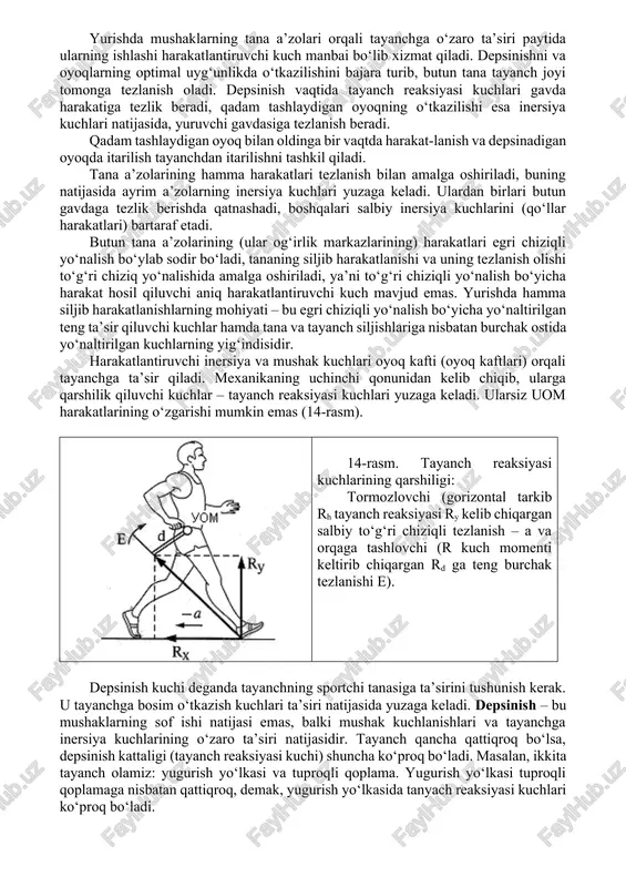 alik tayanch vaqtida esa yana tenglashtiriladi. tosning qadam tashlaydigan oyoq tomonga bunday tushirilishi tebrangich harakati bilan bog‘liq, ya’ni oyoq, tebrangich singari, markazdan qochuvchi kuch ta’sirida aylanish o‘qidan intiladi. bu sonni orqaga uzatuvchi mushaklarga yaxshiroq bo‘shashishga yordam beradi (13-rasm). umurtqa ham qadam tashlayotgan oyoq o‘tkazilayotgan davrda u tomonga bukiladi. umuman, gavda har bir qadamda qator murakkab, deyarli bir vaqtda bajariladigan harakatlarni amalga oshiradi: bir oz bukiladi va yoziladi, gavdaning yon tomonga og‘ishlari va qayrilishlari sodir bo‘ladi. 13-rasm. sportcha yurishda tos harakati qo‘llar va oyoqlar, elka va tosning qarama-qarshi harakatlari, shuningdek, gavdaning boshqa harakatlari gavdani muvozanatda saqlashga yordam beradi, gavdaning to‘liq yon tomonga (yuruvchi boshqacha yurayotgan holat, ya’ni harakatlar qarama-qarshi bo‘lmagan paytdan farqli ravishda) burilishini bartaraf etadi, oyoqlarni qo‘yish, qadam tashlaydigan oyoqning samarali depsinishi va oqilona o‘tkazilishi uchun optimal sharoitlar yaratadi. sportcha yurishda qo‘llarning harakatlari qadamlar sur’atini oshirishga yordam beradi, shuning uchun yuqori elka kamari mushaklari kuchli ishlaydi. ayniqsa, masofa oxirida toliqish …