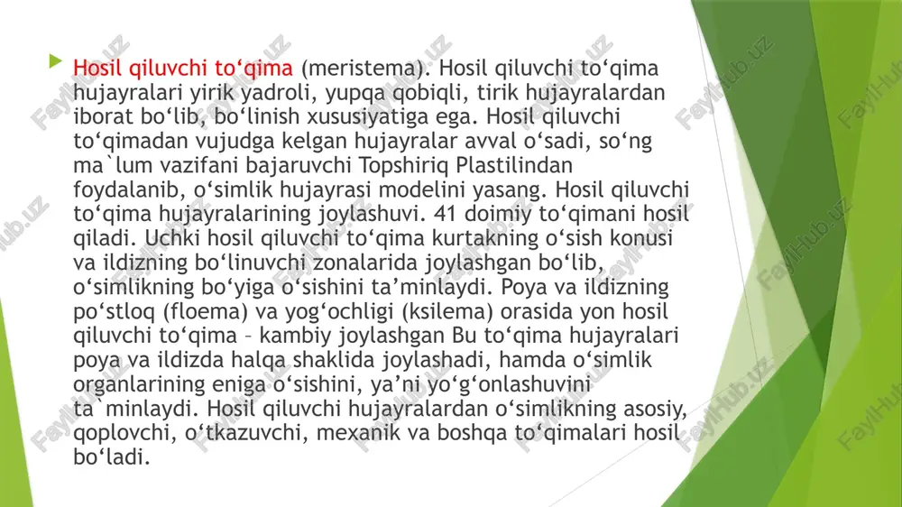 va ildizning ksilema hamda floemasidagi o‘tkazuvchi to‘qima hujayralari orqali amalga oshadi. ksilemada o‘tkazuvchi naylar va traxeidlar bo‘lib ular orqali suv va unda erigan mineral tuzlar ildizdan o‘simlikning barcha organlariga harakatlanadi. floemada elaksimon naylar va elaksimon hujayralar bo‘lib, ular orqali barglarda fotosintez jarayonida hosil bo‘lgan organik moddalar o‘simlikning boshqa organlariga yetkaziladi. mexanik to‘qima o‘simlik organlariga mustahkamlik (ta`yanch) beruvchi to‘qima hisoblanadi. mexanik to‘qimaning quyidagi turlari mavjud. kollenxima – tirik, cho‘ziq, qalin qobiqli, xloroplastga ega hujayralar bo‘lib, barg bandida, yosh novdalarda tayanch vazifasini bajaradi. sklerenxima – o‘lik, qalin qobiqli hujayralardan iborat bo‘lib, ikki turga bo‘linadi: uzun va ingichka tolalar – lub va yog‘ochlik tolalari; yumaloq sklereid hujayralar. sklereid hujayralar yong‘oq, olcha, o‘rik kabi o‘simlik meva etining qattiq ichki qismini hosil qiladi. sklereid hujayralari qanday ahamiyatga ega? ajratuvchi to‘qima. o‘simliklarda kechadigan hayotiy jarayonlarda turli moddalar hosil bo‘ladi. masalan, efir moylari, kauchuk, nektar va smola, fitonsid va boshqalar ajratuvchi to‘qima hujayralari tomonidan tashqi muhitga chiqariladi. …