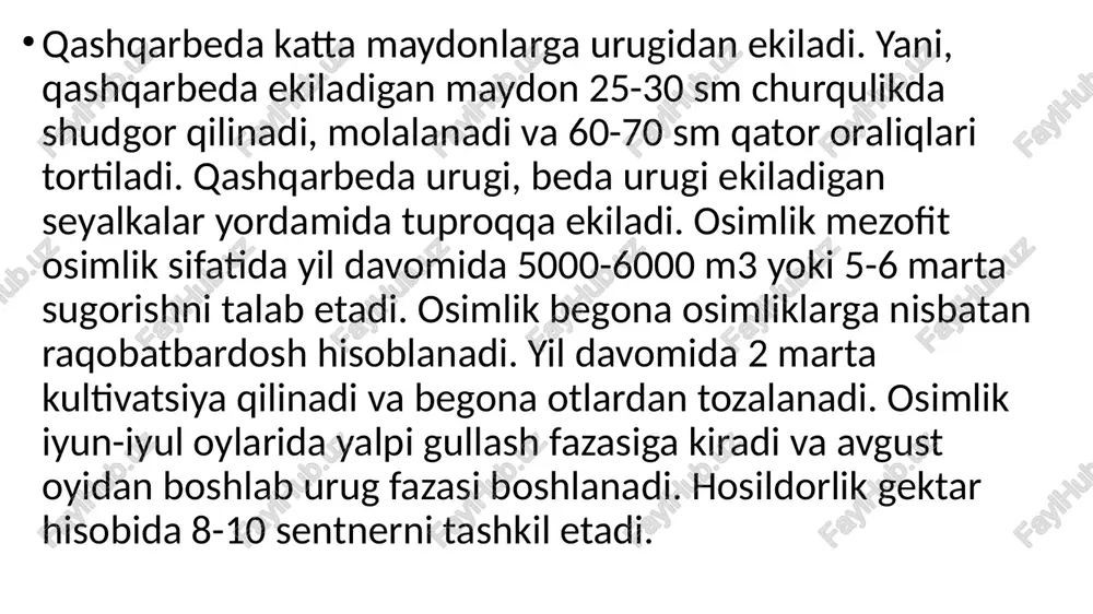 topgan. etiboringiz uchun rahmat image1.jpeg image2.jpeg image3.jpeg image4.jpeg /docprops/thumbnail.jpeg