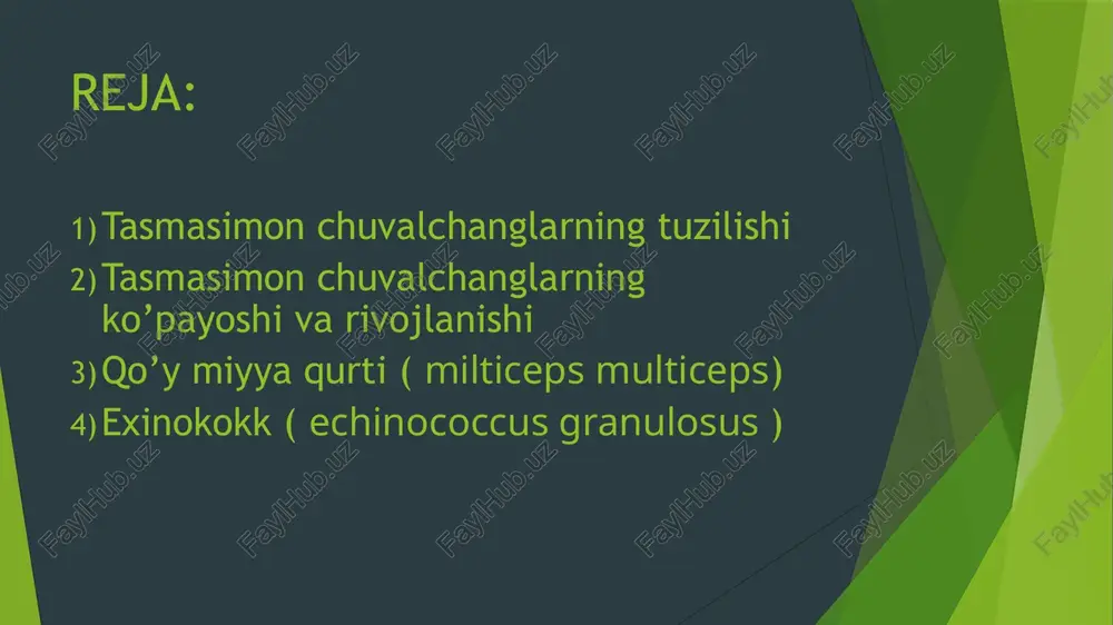 valchanglaming invaziyali davri hisoblanadi. tasmasimon chuvalchanglaming fmnalari cutitserk, protserkoid, plerotserkoid, senur yoki exinokokk deb ataladi sistitserk ichi suyuqlik bilan toigan mosh kattaligidagi pufakdan iborat pufak devorining bir cheti pufak bosh lig ig a botib kirgan boiadi. u joyda lichinkaning tort so'rgichli boshchasi joylashadi. finnalar ana •hu holatda bir necha yil yashashi mumkin. finna faqat asosiy xo‘jayini, yu’m odam ichagiga tushgandan so ng rivojlanib voyaga yetadi. cho‘chqa tasmasimon chuvalchangi (taenia solium)ning rivojlanishi ham xuddi shu tarzda sodir bo‘ladi. serbar tasmasimon chuvalchangning rivojlanishi esa ikkita oraliq xo‘jayin orqali boradi. odam ichagidan chiqadigan tuxurridan suvda sirti kipriklar bilan qoplangan olti ilmoqli lichinka - koratsidiy chiqadi. koratsidiyni siklop yutganida u ichakda kipriklarini tashlaydi, ichak devori orqali siklop tana bo‘shlig‘iga o‘tib, chuvalchangsimon mayda lichinka- protserkoidga aylanadi.lichinkaning keyingi qismida sharsimon o'simtasi bo'ladi. o'skntanmg shakli monogeniyalaming yopishuv serkomerasiga o'xshab ketadi, unda oltita ilmoqcha joylashgan. exinohokk (echinococcus granulosus) yirtqich sutemizuvchilar ichagida yashaydi. tanasi uzunligi 2- 6 mm, 3-4 …