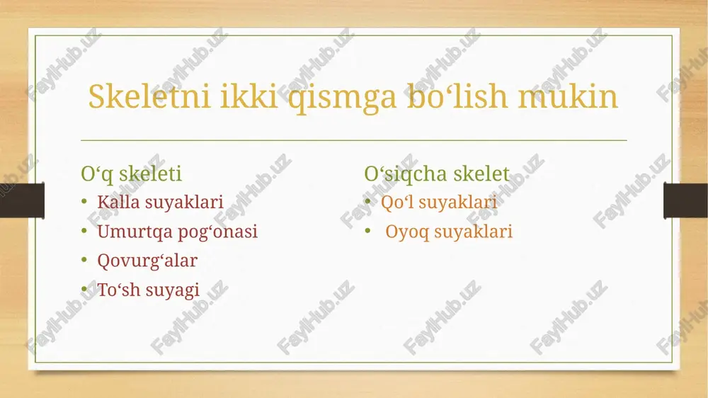 n 2 suyak; 3-yassi suyak; 4-g'ovak suyaklar; 5-aralash suyak. suyaklarning taraqqiyoti homila taraqqiyoti davrida suyak to‘qima boshqa to‘qimalarga nisbatan kechroq, prenatal taraqqiyotning ikkinchi oyi o‘rtalarida mezenximadan vujudga kelgan alohida hujayralar- osteoblastlardan paydo bo‘ladi. bu osteoblastlar tayanch vazifasini bajaradigan oraliq suyak moddalarini ishlab chiqaradi. suyaklar taraqqiyot davrida bir xil rivojlanmaydi. ulaming ma’lum birlari: kallaning gumbaz va yuz qismi suyaklari biriktiruvchi to‘qimadan suyakka aylanadi va ikki bosqichni o‘tadi. bulami birlamchi suyaklar deb ataladi. boshqa suyaklar esa tog‘aydan taraqqiy etadi yoki uch bosqichni (parda, tog‘ay va suyak) o‘tadi, ulami ikkilamchi suyaklar deyiladi. suyaklanish jarayoni to‘rt tana skeleti tana skeleti umurtqa pog‘onasi (columna vertebralis) va ko‘krak qafasi (cavea thoracis) dan iborat. umurtqa pog‘onasi 33- 34 ta (7 ta bo‘yin, 12 ta ko‘krak, 5 ta bel, 5 ta dumg‘aza va 3- 5 ta dum) umurtqalardan hosil bo‘lgan umurtqa pog‘onasining qism­ lari: 1-bo‘yin qismi; 2-ko‘krak qismi; 3-bel qismi; 4-dumg’aza qismi; 5-dum qismi. umurtqa pog‘onasining o‘rtacha uzun- …