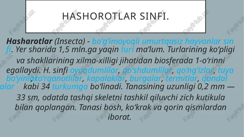 oki boʻlmaydi. oyoklari yuguruvchi. erkaklari qorin boʻshligʻida hid bezlari boʻladi. chala oʻzgarish orqali rivojlanadi. 3600 ga yaqin turi bor; asosan, tropik va subtropiklarda tarqalgan. suvaraklar — tungi, yashirin hayot kechiradigan hasharotlar. oʻsimlik qoldiqlari orasida, toshlar ostida, yerdagi yoriqlarda yashaydi. tuxumlarini maxsus kapsula — ootekaga qoʻyadi, 3—4 oydan 3 — 4 yilgacha rivojlanadi. hamma narsani yeyaveradi. qora suvarak va sariq suvarak sinantrop boʻlib, yer yuzining hamma joyida xonadonlarda yashaydi chigirtka — chigirtkasimonlar katta oilasining gala boʻlib yashaydigan turlari umumiy nomi. chigirtka ekinlarining (gʻalla ekinlari, beda, gʻoʻza va boshqalar) zararkunandasi xisoblanadi. jan. yevropa, jan. va sharqiy osiyo, afrika, jan. va shim. amerika, avstraliya mamlakatlarida uchraydi. chigirtkalarning ekinlarga keltiradigan ofati haqida qadimgi misr yozma manbalarida (bundan 4 ming yil avval) maʼlumotlar uchraydi. oʻzbekistonda tarqalgan turlari ichida eng xavflilari — osiyo chigirtkasi, voha chigirtkasi, marokash chigirtkasi va choʻl chigirtkasi. chigirtkalar, ayniqsa, uzoq masofalardan uchib kelib va toʻsatdan yopirilib ekinlarni nobud qilishi bilan xavflidir. chigirtka …