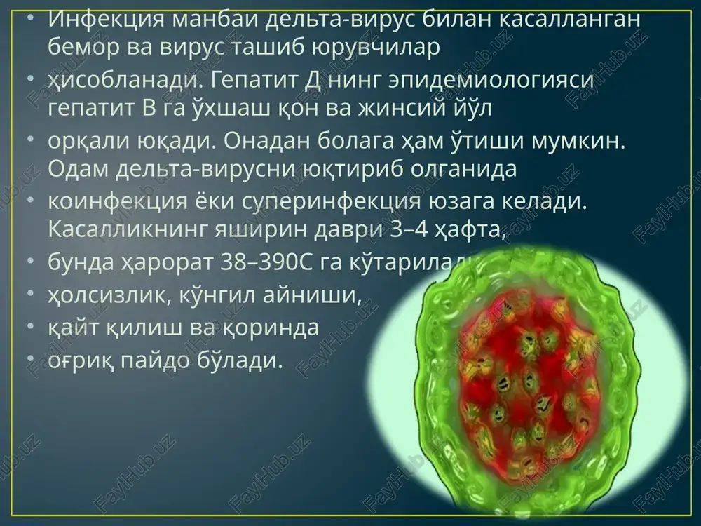 gepatit d virusi - Page 3