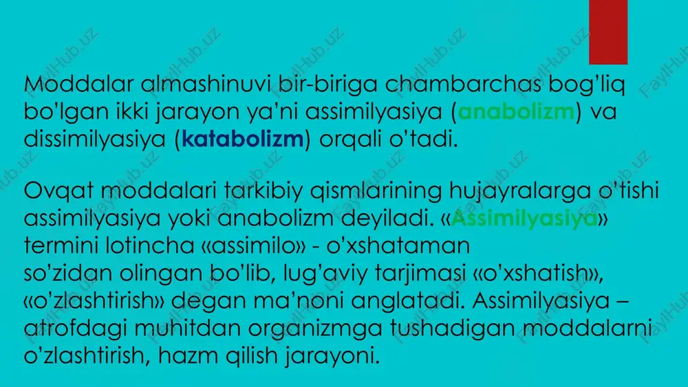energiya almashinuvi boshqarilishi.mitaxondrial kasalliklar - Page 3