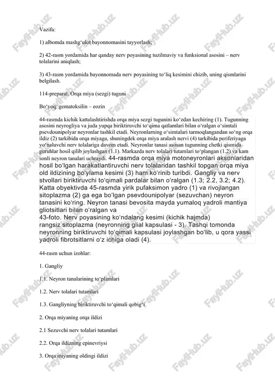 neyron tanasini ko‘ring. neyron tanasi bevosita mayda yumaloq yadroli mantiya gliotsitlari bilan o‘ralgan va 43-foto. nerv poyasining ko‘ndalang kesimi (kichik hajmda) rangsiz sitoplazma (neyronning glial kapsulasi - 3). tashqi tomonda neyronning biriktiruvchi to‘qimali kapsulasi joylashgan bo‘lib, u qora yassi yadroli fibrotsitlarni o‘z ichiga oladi (4). 44-rasm uchun izohlar: 1. gangliy 1.1. neyron tanalarining to‘plamlari 1.2. nerv tolalari tutamlari 1.3. gangliyning biriktiruvchi to‘qimali qobig‘i 2. orqa miyaning orqa ildizi 2.1 sezuvchi nerv tolalari tutamlari 2.2. orqa ildizning epinevriysi 3. orqa miyaning oldingi ildizi 3.1. harakatlantiruvchi nerv tolalari tutamlari 3.2. oldingi ildizning epinevriysi 4. orqa miya (aralash) nervi 4.1. sezuvchi va harakatlantiruvchi nerv tolalari tutamlari 4.2. aralash nervning epinevriysi 44-foto. sezuvchan orqa miya gangliysi (kichik hajmda) 45-rasm uchun belgilar: 1. neyron yadrosi 2. neyron perikarioni 3. neyronning glial kapsulasi 4. neyronning biriktiruvchi to‘qimali kapsulasi 45-foto. psevdounipolyar (sezuvchan) neyron tanasi (kattalashtirilgan) vazifa: 1) mashg‘ulot bayonnomasini albomda tuzish; 2) rasm yordamida tugun va unga …