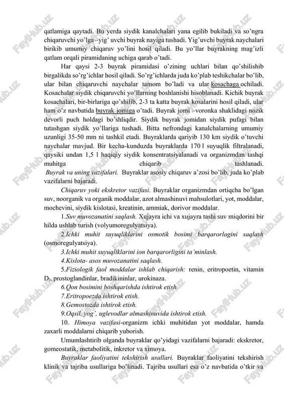 ’iz qatlami farqlanadi. buyrakning po’stloq moddalari uning barcha periferiyasini egallab olgan bo’lib, dastaklar shaklida mag’iz moddalarga kirib turadi va uni 15-20 ta buyrak piramidalariga bo’ladi, ularning asosi tashqariga mag’izli moddalarga yo’nalgan bo’lib, u esa –buyrak jomiga yo’nalgandir. buyrakning po’stloq qismi qizg’ish –talg’ir rangda bo’lib uning qalinligi 5-7 mm ni tashkil etadi, buyrakning mag’iz qatlami ancha rangsiz bo’ladi. buyraklarning tuzilish va funksional birligi bo’lib – buyrak tanachalari (nefronlar) hisoblanadi. har bir buyrakda 1 mln.ga yaqin mikroskopik tanachalar sanash mumkin. buyraklar tanachalari po’stloq qatlamdan ikki devoriy kosani eslatuvchi shakldagi uncha katta bo’lmagan kapsuladan boshlanadi, uning ichida esa qon tomirlar kapillyarlaridan iborat koptokcha joylashgan. kapsula devorlari orasida bo’shliq bo’lib, ulardan buyrak kanalchalari boshlanadi. u egiladi-bukiladi va so’ngra mag’iz qatlamga o’tadi. bu egri-bugri buyrak kanalchalaridir. buyrakning mag’iz qatlamida buyrak kanalchasi to’g’ rilanadi, tugun hosil qiladi va po’stloq qatlamiga qaytadi. bu yerda siydik kanalchalari yana egilib bukiladi va so’ngra chiqaruvchi yo’lga –yig’ uvchi buyrak nayiga …