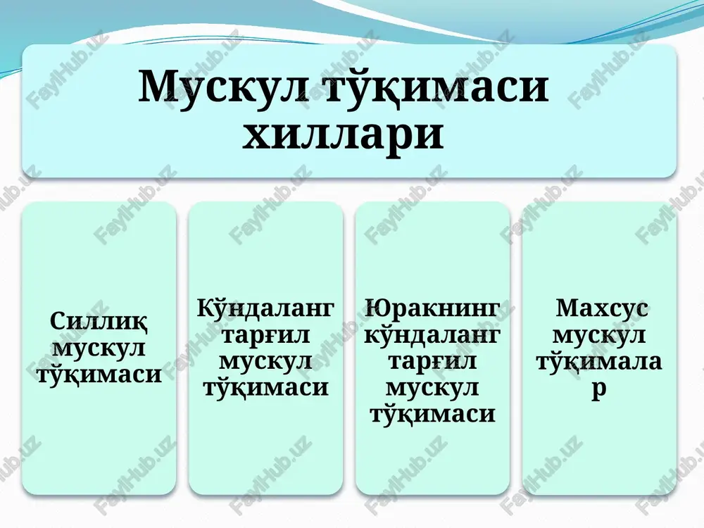 iktiruvchi to'qima ishtirok etadi muskul to'qimasida mioglobin pigmenti bor. ko'ndalang-targ'il muskul to'qimasi miotomlardan rivojlanadi. regeneratsiya mioblastlar ishtirokida bo'ladi sarkolemmaning bazal qavati va asl plazmolemmasi orasida yuldosh hujayralar mioblastlarni hosil qiladi yurakning ko'ndalang-targ'il muskul tuqimasi ko'ndalang-targ'il muskul to'qimasi yurak miokard qavatida joylashib, 3 xil: qisqaruvchi -tipik, impuls o'tkazuvchi atipik va sekretor kardiomiotsitlardan iborat qisqaruvchi kardiomiotsitlar uzunligi 50—120 mkm kengligi 15—20 mkm, tsilindr shaklidagi hujayralardir, ular oraliq plastinkalar orqali o'zaro birlashib zanjirsimon tuzilmalar hosil qiladi t- sistema yaxshi rivojlangan, bazal membrana oraliq plastinkalar sohasida bo'lmay, kardiomiotsitlarni faqat yon tarafdai o'rab turadi. oraliq plastinkalar zinapoyasimon joylashgan oraliq plastinkalar sohasida kardio-miotsitlar desmosomalar, neksus, interdigitatsiyalar orqali birlashgan. miofibrillalar tuzilishi ko'ndalang-targ'il muskul to'qimasini eslatadi atipik va sekretor kardiomiotsitlar yurakdagi qo'zg'alishni o'tkazuvchi muskul ham muskul hujayralari — kardiomiotsitlardan tuzilgan bo'lib, ular qo'zg'alishni peysmeker hujayralaridan qisqaruvchi muskul tolalariga o'tkazadi yurakning bo'lmacha kardiomiotsitlarida sekretor granulalar borligi aniqlandi. bu hujayralar ma'lum endokrin funktsiyaga ega ekanligini ko'rsatadi yurak muskul to'kimasi segmentlanmagan …