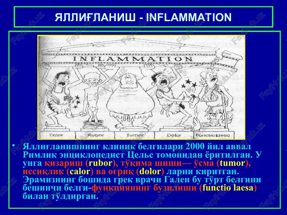 i (qizarishga va harorat oshishiga olib keladi); 2. plazma suyuqligi va oqsilning tomirdan tashqariga chiqishi (shishlar); 3.leykotsitlar emigratsiyasi va ularning jarohatlangan joyda to'planishi. yallig'lanishda leykotsitlar emmigratsiyasi serozli dermatit kataral bronxit kataral gastrit yiringli yoki apostematoz nefrit flegmonoz appenditsit krupoz pnevmoniya yoki alveolalarda fibrinozli ekssudat to'planishi difteritik yallig'lanish gemorragik glomerulonefrit gemorragik pnevmoniya produktiv yallig'lanish turlari 1. oraliq to'qima yallig'lanishi. 2. granulemalar shakllanishli yallig'lanish. 3. parazitlar va yot tanachalar atrofidagi yallig'lanish. 4. poliplar va o'tkir kandilomalar xosil bo'lishi. oraliq to'qima yallig'lanishi turida xujayra elementlarining ko'payishi ichki a'zolar stromasida kechadi va tarqoq skleroz yoki tsirroz bilan tugaydi. granulemetoz yallig'lanish a'zolar biriktiruvchi to'qimasida granulema (tuguncha) shakllanishi bilan davom etadi. yallig'lanishining bu turi ko'pincha yuqumli va infektsion-allergik kasalliklarda (ich terlama, toshmali terlama, chin bod, brutselloz, aktinomikov) uchraydi. granulema diametri odatda 1-2 mm dan oshmay, bazan 2 sm gacha bo'lishi mumkin.granulema markazida parchalangan xujayralar va to'qimalar nekrozi (detrit) ko'riladi. poliplar va o'tkir uchli kandilomalar xosil bo'lishi …
