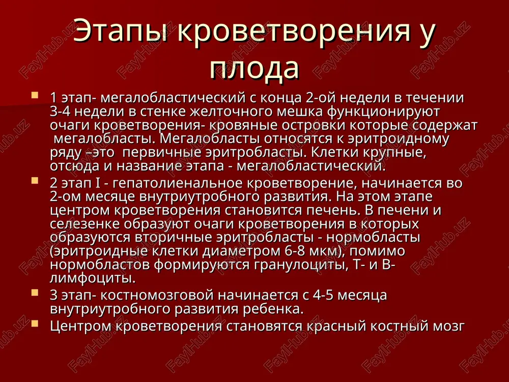 , potovie jelezi, legkie, kishechnik). funktsii krovi termoregulyatornaya – perenos tepla ot bolee nagretix organov k menee nagretim. zashitnaya – osushestvlenie nespetsificheskogo i cpetsificheskogo immuniteta; svertivanie krovi predoxranyaet ot krovopoteri pri travmax. regulyatornaya (gumoralnaya) – dostavka gormonov, peptidov, ionov i drugix fiziologicheski aktivnix veshestv ot mest ix sinteza k kletkam organizma, chto pozvolyaet osushestvlyat regulyatsiyu mnogix fiziologicheskix funktsiy. gomeostaticheskaya – podderjanie postoyanstva vnutrenney sredi organizma (kislotno-osnovnogo ravnovesiya, vodno-elektrolitnogo balansa i dr.). krov novorojdennogo rebenka srazu je posle rojdeniya krasnaya krov novorojdennix xarakterizuetsya povishennim soderjaniem gemoglobina i bolshim kolichestvom eritrotsitov za schet platsentarnoy transfuzii i gemokontsentratsii. soderjanie gemoglobina ravno 210 g/l (kolebaniya 180–240 g/l) soderjanie eritrotsitov 6×10 12/l (kolebaniya 7,2×10 12/l – 5,38×10 12/l). krov novorojdennogo rebenka eritrotsiti anizotsitoz, otmechaetsya v techenie 5–7 dney, makrotsitoz, t.e. neskolko bolshiy v pervie dni jizni diametr eritrotsitov, chem v bolee pozdnem vozraste. mnogo molodix, eshe ne sovsem zrelix, form eritrotsitov, ukazivayushix na aktivno protekayushie …
