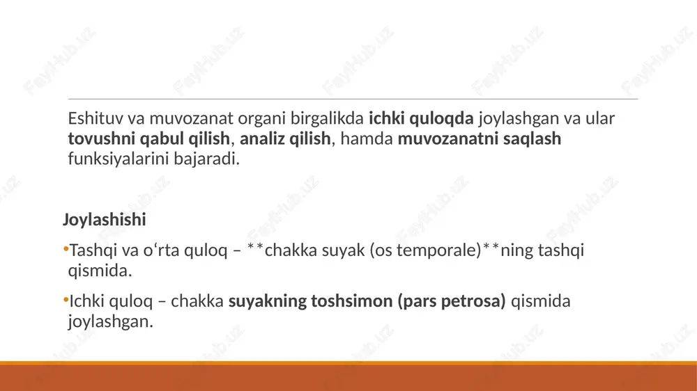 eshituv va muvozanat anatomiyasi - Page 3