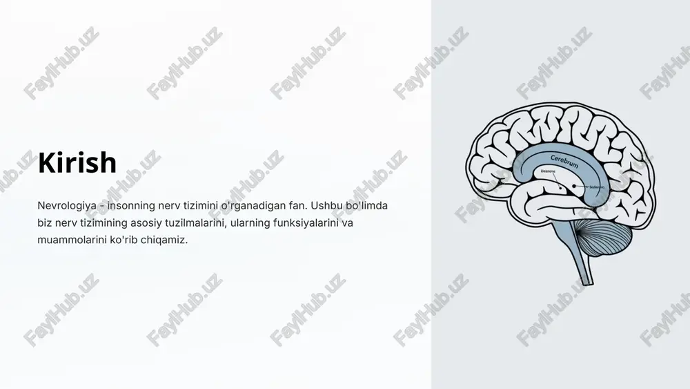 n miya gomeostazini ta'minlaydi. qon-miya to'sig'i asosan qon tomirlari endoteliysi, bazal membrana va astrotsitlar o'simtalari tomonidan tashkil topgan. ushbu tuzilmalar miya dokasini tashqi muhitdan himoya qilib, uning xavfsiz faoliyatini ta'minlaydi. qon-miya to'sig'i funksiyasi asosiy funksiya qon-miya to'sig'i beyin va miya uchun biologik to'siqdir. u beyin hujayralariga qonga zararli moddalarning kirishi va oqsil, elektrolitlar kabi muhim moddalarning qonga chiqib ketishining oldini oladi. selektiv o'tkazuvchanlik qon-miya to'sig'i selektiv o'tkazuvchanlikka ega bo'lib, u faqat talab qilingan nutritiv moddalarni va essensial komponentlarni o'tkazadi. bu beyin uchun hayotiy ahamiyatga ega. g'ayritabiiy moddalardan himoya qon-miya to'sig'i zaharli, g'ayritabiiy moddalarning beyin kirish-chiqish yo'llarini saqlaydi va ularning mikroorganizmlar, gematomalar, zararli toksiklar kabi xavfli ta'sirlaridan beynini himoya qiladi. gormonlar va neyrohimikatlarga nisbatan selektivlik qon-miya to'sig'i beyin faoliyati uchun muhim bo'lgan gormonlar, neyrohimikatlarga nisbatan selektiv o'tkazuvchanlikka ega, bu esa bosh miyaning normal funksiyasini ta'minlaydi. periferik nerv tuzilishi periferik nerv tuzilishi periferik nerv asosan uch qismdan iborat: epineyrium - umumiy plyonka, …