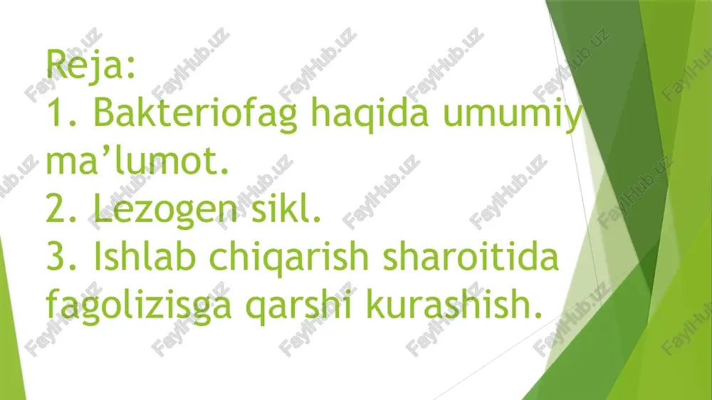 agan uchinchi fag paydo bo‘ladi. u fermentyorlarga tarqaydi, natijada bakteriyadan olinadigan maxsulotning sifati buziladi yoki uni butunlay olib bo‘lmay qoladi. ma’lumki, lizogen kulturalar o‘zining tarkibidagi mo‘tadil fagiga chidamlidir. demak, mo‘tadil fag mutasiya natijasida virulent fagga aylanganida, kulturaning lizisi amalga oshadi. ishlab chiqarishda kuzatilgan bakteriofaglarni asosiy xususiyatlarini bilish va ularni oldingi ma’lum fag xossalari bilan solishtirish zavodda faglarga qarshi kurashishning asosiy shartlaridandir. umuman har bitta amaliy va nazariy ahamiyatga ega bo‘lgan kulturani lizogen holati oldindan chiqarishga berilmasdan o‘rganilishi zarur, uning mo‘tadil fagi ajratilib uning xususiyatlari taxlil qilinishi kerak, shu bilan uni virulent mutant hosil qilishi ishlab chiqarishga bermasdan ma’lum bo‘lishi shart. shu virulent mutanti ma’lum fagga (fagga bardoshli mutanti) oldindan amaliy ahamiyatga ega bo‘lgan bakteriyani zavodga bermasdan olinishi kerak va mutantni fagga bardoshlilik mexanizmi o‘rganilishi zarur. ishlab chiqarish sharoitida fagolizisga qarshi kurashish choralari quyidagicha: ishlab chiqarishga beriladigan barcha shtammlarni fagga bardoshliligini o‘rganib chiqish, ularning lizogenligini aniqlash; 2. ishlab-chiqarishda foydalaniladigan bakteriyaga qarshi …