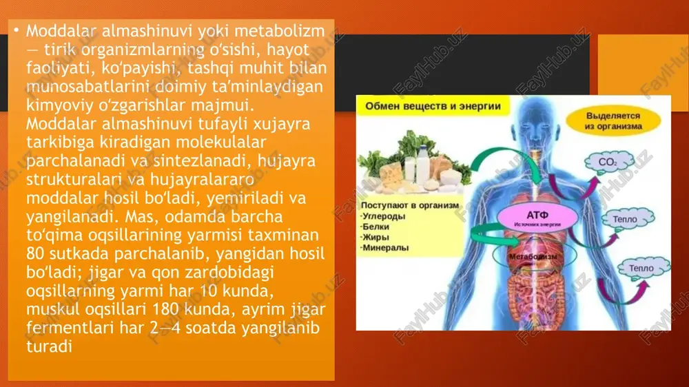 l yoʻl bilan ham boshqarib turiladi qandli diabet, qand kasalligi — organizmda insulin tanqisligi va moddalar almashinuvi buzilishi natijasida kelib chiqadigan kasallik. qand kasalligi sharq xalq tabobat tarixida juda qadimdan maʼlum. abu ali ibn sino bu dardga alohida eʼtibor beradi. "suv qanday ichilgan boʻlsa, shu holda chiqadi", deb yozadi u. bemorning koʻp suv ichishi boshqa kasalliklarni ham keltirib chiqaradi va bemor juda ozib ketadi. davolarga toʻxtab tabib: "bemorga sovuq mizojli suyuqliklar ichir, sovuqjomga sol, nordon ayron ichir, mevalar ber, yalpiz damlab ichir, yaʼni bemorni hoʻlla, sovut", deydi. bu — kasallik odam badanida issiqlikning oshib ketishi tufayli paydo boʻlishini bildiradi. qand kasalligi tarixiy tibbiy manbalarga koʻra, nasliy boʻlishi ham mumkin. qandli diabetda qonda qand moddasi keskin koʻpayib, siydik bilan chikib turadi (tarkibida qand moddasi boʻladi), tashnalik, ozib ketish, quvvatsizlik, badan qichishishi va boshqalar alomatlar kuzatiladi. qandli diabet kasalligi yildan-yilga yasharib borayotgani dunyo ahlini jiddiy tashvishga solayotir. hozir bu dardga chalinganlar orasida …