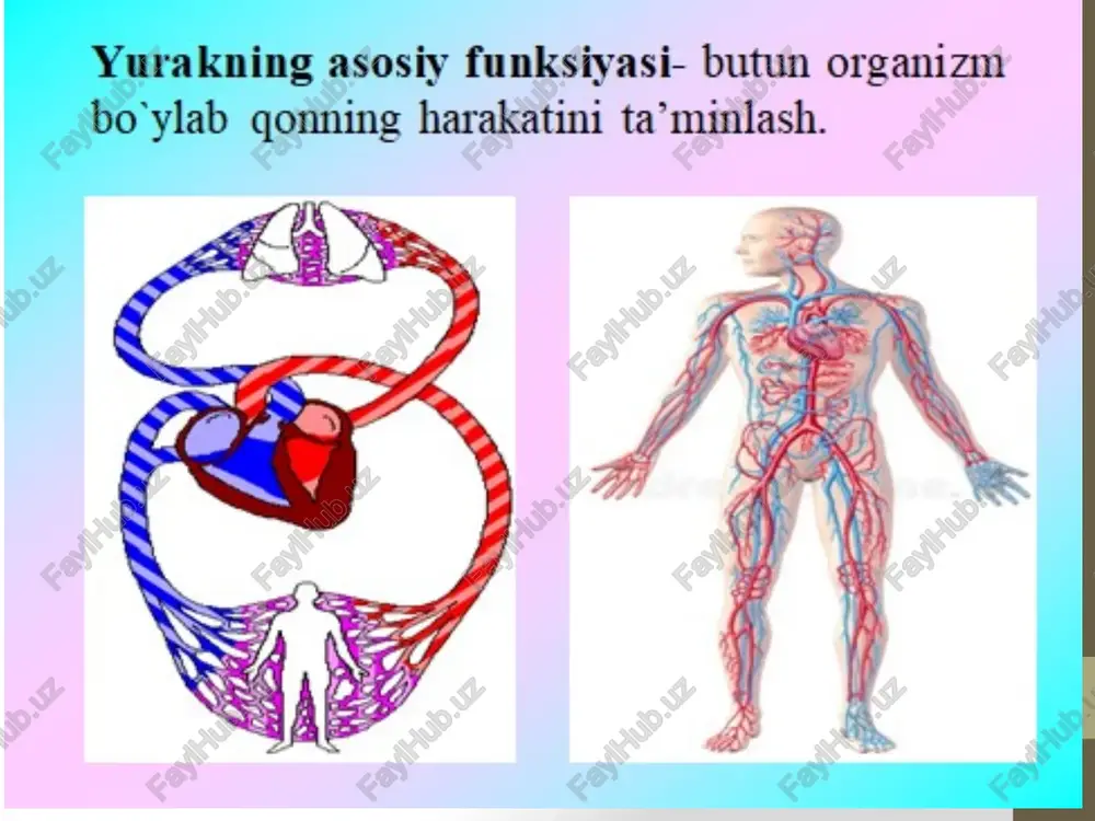 kard shikastlanishi va xavfli o‘smalar metastazi, o‘pka va plevradagi yallig‘lanish jarayonlarini perikardga tarqalishi sabab bo‘ladi. stenokardiya kasalligida og’riqlar ko‘p hollarda og‘riq yuzaga kelishiga miokardni o‘tib ketuvchi ishyemiyasi sabab bo‘ladi. undagi og‘riq sindromi stenokardiya kasalligini belgisi hisoblanadi odatda to‘sh ortida yoki undan biroz chapda. ko‘proq chap kurak ostiga, bo‘yinga, chap qo‘lga, jag‘ga. ko’krak qafasidagi og’riq turlari: miokard infarkti og‘riq o‘tkir, yondiruvchi, tirnovchi, to‘satdan yuzaga keladi, uning paydo bo‘lishi jismoniy yoki ruhiy zo‘riqish bilan bog‘liq bo‘lishi mumkin. davomiyligi aksariyat hollarda 20 daqiqadan ko‘p (ba'zida bir kecha kun), tinch holatda, yurak qon tomirlarini kengaytiruvchi dorilar (nitroglitserin) qabul qilgandan keyin ham o‘tib ketmaydi, chap elkaga, kurakka va jag‘ga tarqalishi mumkin miokardit og‘riqlar doimiy emas, odatda ezuvchi xarakterda, kuchsiz va bo‘g‘iq, ba'zida jismoniy yuklamada kuchayadi. perikardit og‘riq to‘shning o‘rtasida yoki butun yurak sohasida joylashgan, sanchuvchi va o‘q otganga o‘xshash xarakterda, harakatda, yo‘talganda, stetoskop bilan bosilganda kuchayadi, davomiy (bir necha kun) yoki alohida xurujlar ko‘rinishida paydo …