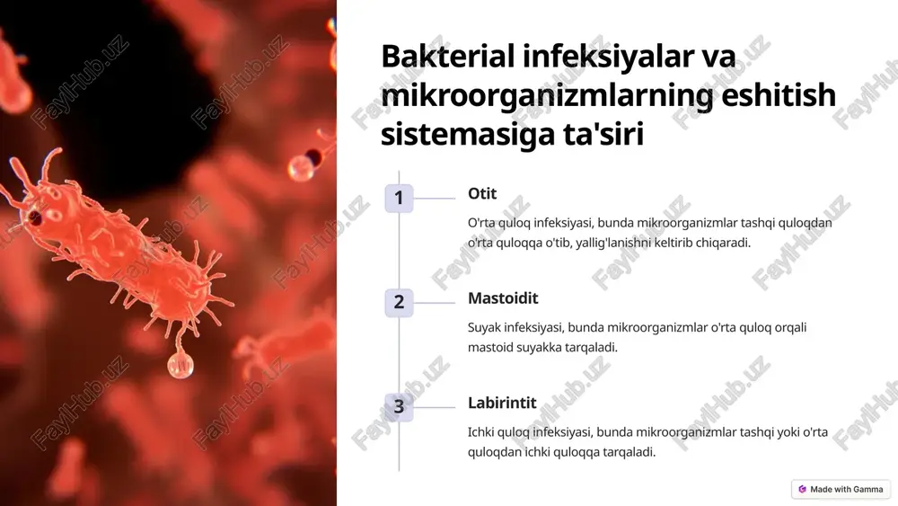 eshitish tizimi va mikroorganizmlar ta'siri - Page 3