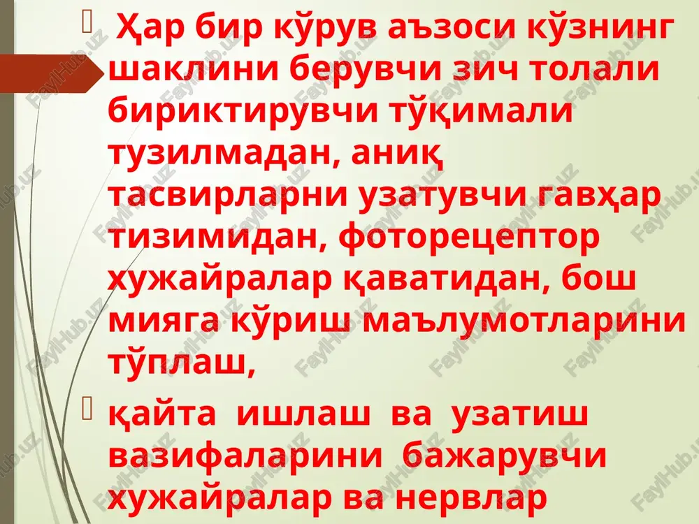 fotoretsepsiyaning morfologik asoslari - Page 3
