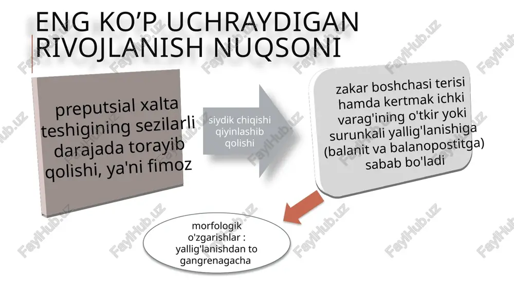 moyok chov kanalidan o'tib, yo’rg’oqqa tushadi moyukning yorgoqga o'z tabiiy yo'lidan o‘tib borshi to'xtasa, kriptorxizm ro'y bera etialogiyasi:homiladorlik vaqadagi teratogen ta'sirlar (bu narsa ona bilan hamila gormonlarining uyg'unligi buzilib, keyinchalik embrional to'qimalar, avvalo mezensimadas paydo bo'ladigan to'qimalarming tabaqalanishi buzilishiga olib keladi) dustlab paydo bo'ladigan anatomik o'zgarishlar gunter boylamining kalta tonib qolishi, chov karnalining torayib qolishi moyakning harakatlanib borishiga to'sqinlik qiladi. lekin kriptorum boshlashida gipotalamo-gipolizar sistema gonadotrop funksiyasining burilishi alohida ahamiyatga ega, shu narsa to'qimalarnı tabaqalashtiruvchi gormonlar yetishmovchiligiga va gonadalar disgeneziyasiga olib keladi deb hisoblanadi kriptorxızm turli boshqa patolog jarayonlarda ham kuzatilishi mumkin. masalan, arterioskleroz qon ta'minoti buzilganida, surunkali orxit mahalida, uzoq muddat ayollar jinsiy gormonlari yuborib turilganida, jigar sirrozida, nur berish ta'sirida, urug' otuvchi yo'l torayib qolganida shunday bo'lishi mumkin kriptorxizmda turli patologik jarayonlar boshlanishi mumkin -moyakning o'ralib va qisilib qolishi, chov churrasi shular jumlasidandır. -moyakning o'rniga tushmay qolishi,, -moyakda xavfli o'smalar, seminoma, teratoblastoma boshlanishi ehtimolini ancha kuchaytiradi. patomorfologik tekshirishlar …