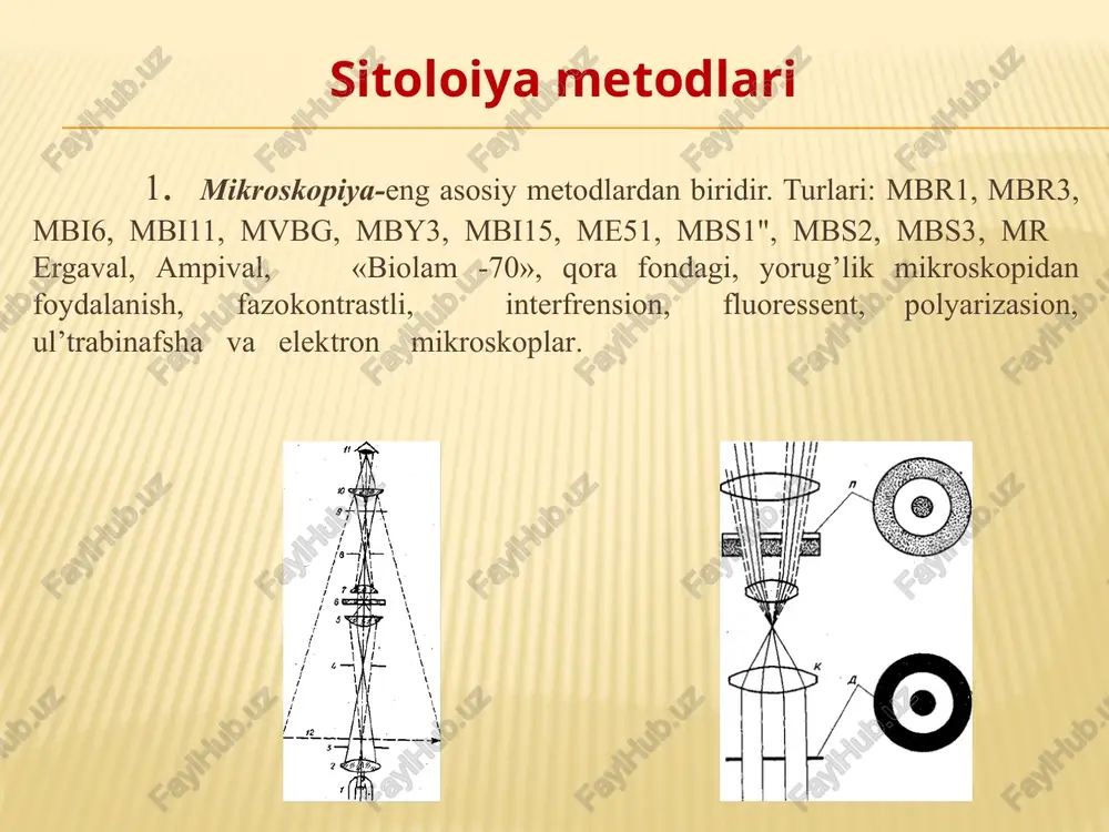 yalarning hujayraviy tuzilishida doimo mavjud bo’ladigan va doimo mavjud bo’lmaydigan va faqat ma’lum vazifalarni bajarish uchungina paydo bo’ladiganlariga ajratiladigan qismlari farqlanadi. doimo mavjud bo’ladigan qisimlarga: hujayra devori, tsitoplazma membranasi, tsitoplazma ichidagi qismlari va nukleotid kiritiladi. vaqtincha qismlariga hujayra shillig’i (kapsula), xivchinlar, fibrillalar, ayrim bakteriyalardagi endosporalar kiradi . prokariot hujayralar 1884 yil kristian gram bakteriyalarni bo’yash usulini kashf etdi va u taklif etgan usul mikrobiologiya amaliyotiga prokariotlarning taksonomiyasini muxim belgilaridan biri bo’lib qoldi. bu usul uch fenilmetan qatoridagi bo’yovchi kristalvislet va gentsianvioletlarning mikrob hujayrasida tutib qolishini yoki tutib qolmasligiga asoslangan. shisha oynada qotirilgan holdagi bakteriyalar surtmasi sapsar rang bilan bo’yalsa va uni yodni kaliy-yodidga eritmasi bilan qotirilganidan keyin grammusbat bakteriyalar tsitoplazmasida bo’yoqning yod bilan mustahkam birikmasi hosil bo’ladi va bakteriyalar surtmasiga spirt yoki atseton ta’sir ettirilganda ham erib ketmaydi. grammanfiy bakteriyalarda bo’yoq yod bilan barqaror birikma hosil qilmaydi, bakteriyali surtmaga spirt yoki atseton ta’sir qilinganda to’liq rangsizlanib ketadi. hujayra devori mikroplazmalar …