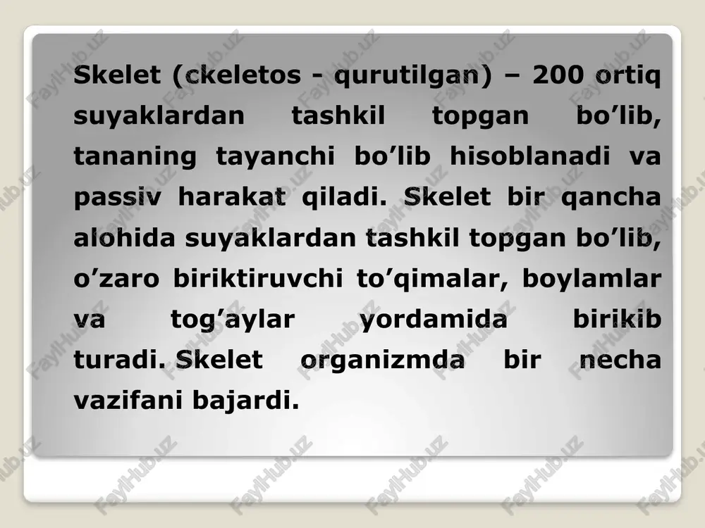 suyaklar haqida qisqacha - Page 3