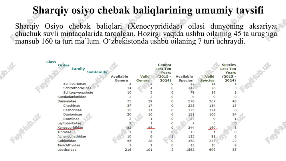 mln. va undan ortiq uvildiriqqa to’g’ri kelishi bilan isbotlangan. urchish davri sirdaryoda aprel-may oylariga to’g’ri keladi. fito va zooplankton (qisqichbaqacha, kolovratka) turlari bilan ovqatlanib, gala hosil qiladi. oq do’ngpeshona singari suvda sakramaydi. ahamiyati. ovlanish ahamiyatiga ega bo’lgan baliq. ob’ekti – hovuz baliqchilik xo’jaligi bo’lib. oq do’ngpeshana bilan duragay hosil qiladi. oq amur ctenopharyngodon idella (valenciennes, 1844) tavsifi. tanasi cho’zilgan, lo’lasimon. og’zi yarim pastki. orya suzgich qanotidagi shu’lalar soni iii 7, anal suzgich qanotida iii 7-8 ta. yon chizig’ida 38-45 tangacha bor. oyquloq ustunchalari 13-16 ta. halqum tishlari ikki katorli, yonlaridan bosilgan va kuchli kertiklangan. uzunligi 1 metrgacha, og’irligi 32 kg.gacha. tarqalishi. tabiiy areali – amur havzasi, xitoy suv havzalari. o’rta osiyo va qozog’iston suv havzalarida iqlimlashtirilgan. o’zbekistonga 1960-yillarda xitoydan keltirigan. respublikamizning barcha tekislik suv havzalarida uchraydi. biologiyasi. 3-4 yoshida jinsiy yetuklikka erishadi, erkaklar urg'ochilarga qaraganda bir yil oldin yetuk bo'ladi. jinsiy dimorfizmning belgilaridan biri ko'krak qanotlarining ichki tomonidagi dastlabki ikki …