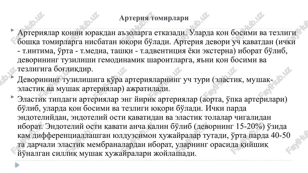 (yurak urishi). sinus tuguni (sa)bu (kardiostimulyator), o'ng bo'lmachaning devorida joylashgan,ular ritm boshlovchi xujayralar bo'lib, undan keyin impuls bo'lmacha-qorincha (av) tuguniga, keyin esa qo'zg'alish giss tutamiga , taassurot giss tutamining o'ng va chap oyoqchalari orqali o'z navbatida purkine tolalariga o'tkaziladi. yurakning biriktiruvchi to'qimali skeleti zich biriktiruvchi to'qimadan iborat bo'lib,biriktiruvchi to'qimani endokardda, uning klapanlarida ko'rish mumkin. mikrofotografiyada atrioventrikulyar klapan (strelka) pay bog'lamlariga birikkanligi ko'rinib turibdi (ct). bu tuzilmalarni asosini biriktiruvchi to'qima (s) tashkil qilib, endoteliy xujayralari bilan qoplangan. klapanlarning biriktiruvchi to'qimadan iborat kollagen tolalari och moviy rangga bo'yaladi. uni bo'lmacha (a) va qorinchalarni (v) oralig'ini to'ldirib turadi. bu erda yana qalin miokard (m) ham tasvirlangan. x20. (a) endoteliy (en) ning ostida mushak-elastik qavat, subendokardial qavat (sen) qorinchalarda (purkine) tolalari (r) impuls o'tkazuvchi sistemaning xujayrasi. bu tolalar yurak mushak to'qimasining xujayrasi hisoblanadi, ular o'zaro oraliq plastinkalar sohasida bir-birlari bilan birikishadi. birikishlar impuls o'tkazish uchun hizmat qiladi, qisqarish uchun emas. purkine tolalarining tsitoplazmasini qisqaruvchi …