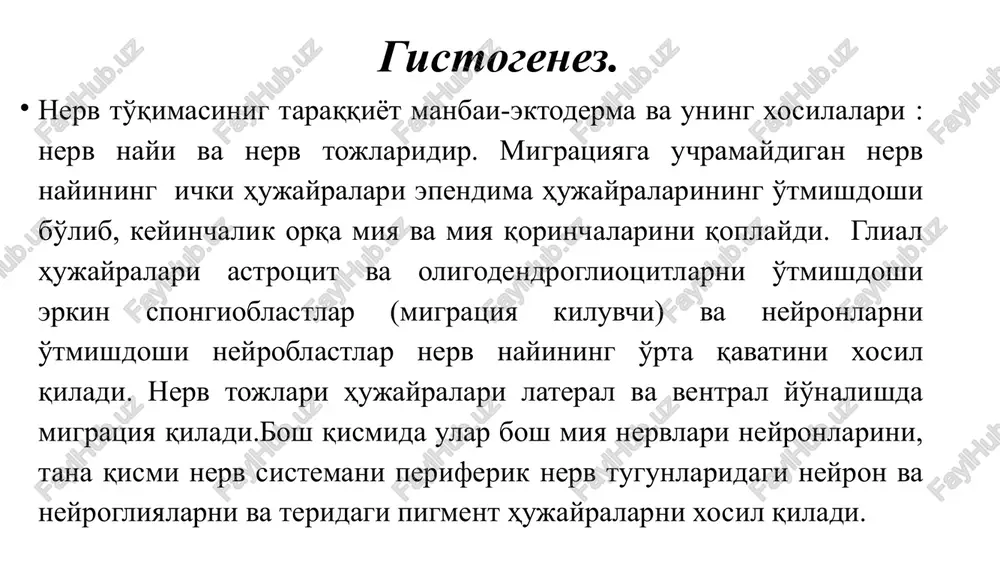 hilik neyronlar tetraploidli. nerv hujayrasining tsitoplazmasida umumiy organellalar: mitoxodriyalar, goldji kompleksi, lizosomalar, mikronaychalar va mikrofilamentlar mavjud. nerv hujayra strukturasining xarakterli belgilaridan biri-unda nissl moddasining bo'lishidir. bu modda tsitoplazmada bazofil bo'yaladigan qismi. elektronmikroskop ostida neyronning tsitoplazmasini bu qismida ko'p sonli ribosomalar, polisomalar va donadaor endoplazmatik to'r bo'ladi. xarakterli belgilariga ko'ra bu tuzilmani tigroid modda deb atashgan. bazofillik ribosomal rrnk ko'pligi bilan bog'liq. ko'p sonli ribosomalar tsitoplazmada o'simtalarga yo'naluvchi to'xtovsiz oqsil sintezlaydi. yana bir tsitoplazmaning xarakterli strukturasi-neyrofilamentlardir ular tutam bo'lib joylashgan. ayniqsa ular o'simtalarda ko'pdir. bundan tashqari tsitoplazmada neyroning tanasini ushlab turuvchi(tayanch vazifani bajaradi) neyronaychalar mavjud. yadro va aksonni orasida yaxshi taraqqiy etgan goldji kompleksi joylashgan. shuningdek u o'zida lipofustsin va melanin deb ataluvchi pigment saqlaydi. neyrogliya neyrogliya – yuqorida aytib o'tilganidek neyrogliya hujayralari hujayralararo modda vazifasini bajaradi. bosh va orqa miya nerv to'qimasida tomirlar devoridan tashqari biriktiruvchi to'qima uchramaganligi uchun u yumshoq va siyrak bo'ladi. neyronlarninig tanasida yotuvchi strukturasiz massaga o'xshash …