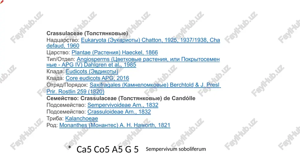 klari 5 tadan (ba’zan 4–6 tadan). formula tsvetka: ♂♀(x)ca5co5a∞g(5). formula tsvetka: ♂sca(5)co5a (∞)g 5. raʼnodoshlar oilasi koʻpincha quyidagi oilalachalar: tobulgidoshchalar (mevasi – koʻp poʻstli); olmadoshchalar (mevasi– olma); atirguldoshchalar (mevasi – koʻp koʻsakcha); olxoʻridoshchalar (mevasi – danakcha)ga boʻlinadi. raʼnodoshlarga mevali (olma, nok, behi, olcha, olvoli gilos, olxoʻri, oʻrik, shaftoli va boshqalar), rezavor mevali (malina, qulupnay, maymunjon va boshqalar), manzarali (atirgul, tobulgʻi va boshqalar) oʻsimliklar kiradi. o‘rta osiyoda oilaning 32 ta turkumga mansub 266 ta turi, o‘zbekistonda 11 ta turkumga oid 96 ta turi o‘sadi. tobulg‘idoshchalar (spiraeoideae) ra’nodoshchalar (rosoideae), rubus l olmadoshchalar (maloideae–pomoideae) olxo‘ridoshchalar (prunoideae) oilachalari bor. formula tsvetka spirei: k(5)c5a ∼ g5. formula tsvetka: *ca5co5a∞g1 formula tsvetka: *ca5co5a∞g∞ formula tsvetka: *ca5co5a∞g¯3-5 guli xushboʻy, rangi har xil, yakka yoki 2–3 tadan oʻrnashgan. gulkosacha va gultojibarglari 5 tadan, changchi va urug‘chilari ko‘p. turkum 120 ga yaqin turni birlashtiradi. shulardan o‘zbekistonda 13 turi tabiiy holda o‘sadi va bir nechta turlari manzarali o‘simlik sifatida ekiladi. …