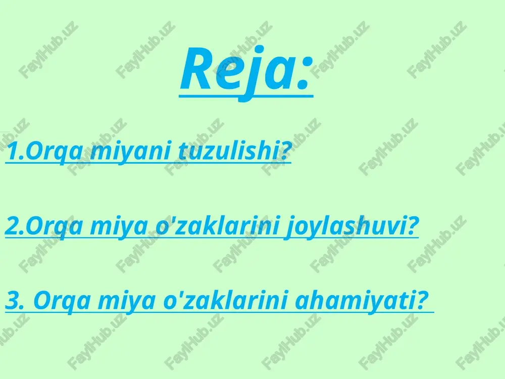 orqa miyani tuzulishi - Page 3