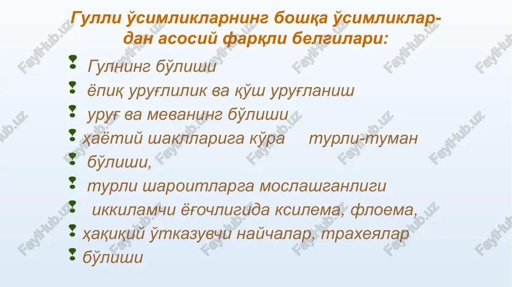 qiladi. 5. gulli o‘simliklarning urug‘ kurtagi urug‘ga, tugunchasi esa mevaga aylanadi, urug‘i mevabarglar ichida yetiladi. 3. changlanishi hamda urug‘ va mevalarning tarqalishi turli usullarda: shamol, hasharotlar, qushlar, suv orqali amalga oshadi. qariyb, ularning 90 % ga yaqini hasharotlar, 10 % i shamol yordamida changlanadi. 6. gulli o‘simliklar boshqa o‘simlik guruhlariga nisbatan juda murakkab morfologik va anotomik tuzilishga ega. gulli o‘simliklarning meva qobig‘i bilan himoyalanganligi va boshqa bir qator o‘ziga xos belgilari asosiy farqlarga e’tibor qaratamiz: urg‘ochi gametofit–bu urug‘chidagi murtak xaltasi va unda joylashgan 8–ta hujayradan (tuxum hujayra markaziy hujayra, antipod va sinergitlar) tashkil topgan. sporofit nasl mohiyati jihatidan 2–ta o‘simlikdan: asosiy o‘simlik va zigota taraqqiyotidagi embriondan (murtak) iborat. hayotiy shakllarining xilma xil bo‘lishi kelib chiqishi bo‘yicha, eng yoshi–o‘t o‘simliklar ekanligi, bulardagi muhim belgi hisoblanadi. urug‘ning to‘liq himoyalanganligi (yopiqligi), urug‘ kurtagini tuguncha ichida joylashganligi. bularda urug‘chining bo‘lishidir. bularda haqiqiy gulning paydo bo‘lishi bilan changlanish va urug‘lanishi jarayonida qo‘sh urug‘lanishni amalga oshishidir …