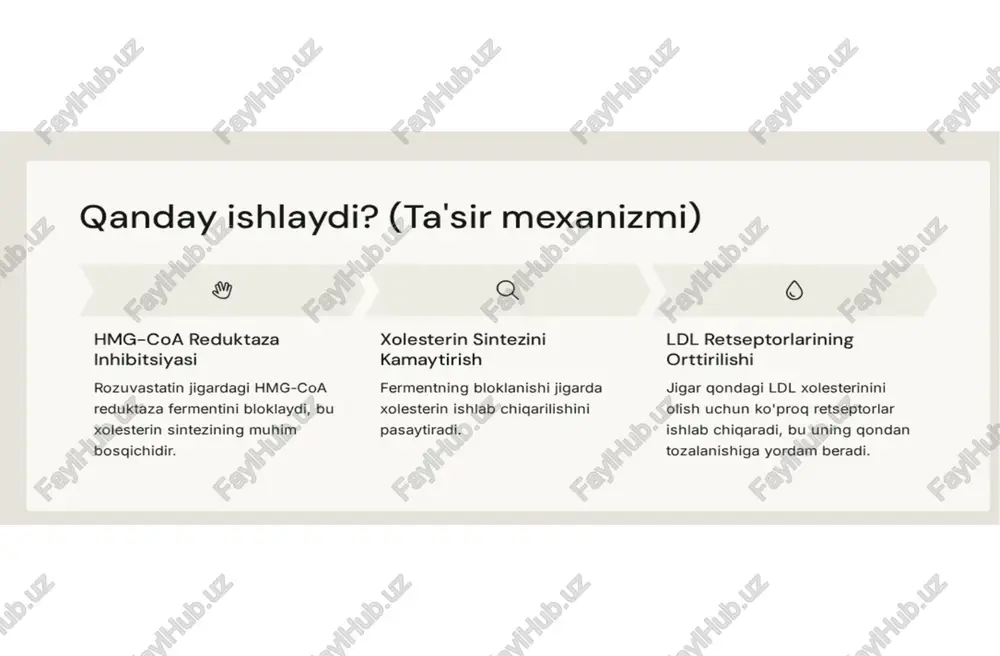 novtor rozuvastatin - Page 3