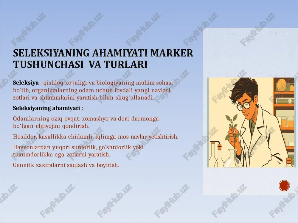 ent yoki oqsil darajasida o‘zgarishlar aniq o‘lchanadi. genetik nazorat ostida — markerlar ma’lum genlar tomonidan boshqariladi, shuning uchun irsiy tahlilga asos bo‘ladi. atrof-muhit ta’siriga kamroq bog‘liq — tashqi omillar morfologik belgilar kabi kuchli ta’sir qilmaydi. fenotipda ko‘rinmaydigan farqlarni aniqlaydi — genetik o‘zgarishlarni tashqi ko‘rinishsiz aniqlash mumkin. gibrid va nasllarni aniqlashda foydali — tur, nav yoki zotlar orasidagi farqni ishonchli ko‘rsatadi. biokimyoviy markerlarning kamchiliklari: maxsus laboratoriya uskunalari kerak — elektroforez, ferment analizatorlari va boshqa qurilmalar talab etiladi. tirik yoki yangi biologik material kerak — ferment va oqsillar tez parchalanadi, shuning uchun namunani yangi holda olish kerak bo‘ladi. ba’zi markerlar belgiga bevosita bog‘liq emas — ya’ni foydali xususiyatni to‘g‘ridan-to‘g‘ri aniqlamaydi. ma’lumot hajmi cheklangan — molekulyar markerlarga qaraganda genetik axborot kamroq beradi. tahlil jarayoni murakkab va vaqt talab qiladi — tayyorlash, elektroforez va natijani tahlil qilish bosqichlari uzoq davom etadi. molekulyar marker — bu dnk zanjirida joylashgan ma’lum nukleotid ketma-ketligi yoki o‘zgarishi bo‘lib, …