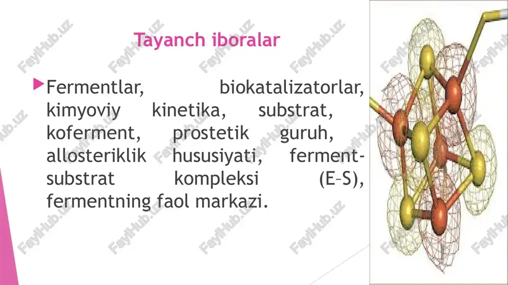 alan, sh-guruhi) bilan, ya'ni oqsil molekulasining nativ konformatsiyasini ushlab turishga javobgar qismi bilan aloqa qiladi (bog’lanadi). fermentlar xalqaro nomenklaturaga ko’ra quyidagi sinflarga bo’linadi: oksidoreduktazalar transferazalar gidrolazalar liazalar izomerazalar ligazalar (sintetazalar) oksidoreduktazalar – oksidlanish-qaytarilish reaktsiyalarini tezlashtiradi. reaktsiyalarning borish tarziga qarab quyidagi sinfchalarga farqlanadi: degidrogenazalar, oksidazalar, gidroksilaz va oksigenazalar. transferazalar – bir molekuladan boshqasiga har xil atom guruhlarini o’tkazish (tashish)ni tezlashtiradi. o’tkazayotgan (tashiyotgan) atom guruhlariga qarab ular quyidagi sinfchalarga bo’linadi: metiltrasferazalar(-sn3), atsiltransferazalar(-soon), fosfotran-sferazalar (-n2ro4), aminotransferazalar (-nh2) gidrolazalar – oqsillar, lipidlar, uglevodlar, nuklein kislotalar va boshqalarni gidrolitik (suv ishtirokida) parchalanish reaksiyalarini katalizlaydi. gidrolazalarga barcha ovqat hazm qilish fermentlari kiradi.esterazalar, fosfatazalar, glyukozidazalar, peptidgidrolazalar sinfchalariga bo'linadi. liazalar – organik moddalarni s–s, s–n, c–o bog`lari bo’yicha nogidrolitik (suv ishtirokisiz) parchalanishini katalizlaydi. ular so2, n2o, n2o, nn3 va boshqa murakkab guruhlarni uzib olishi mumkin. izomerazalar – organik moddalarning molekulalari ichidagi o’zgarishlarni, ya'ni bir izomerni boshqa izomerga aylanish jarayonlarini katalizlaydi. ligazalar yoki sintetazalar – atf yoki boshqa makroerg …