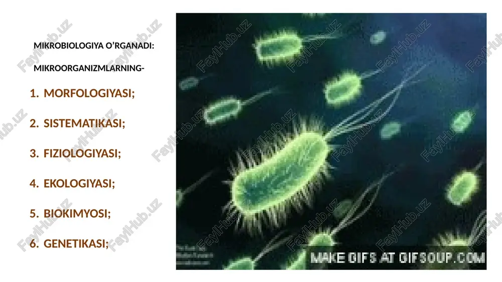 mikrobiologiya fanining rivojlanishi - Page 3