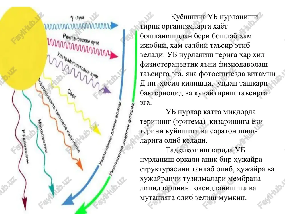 ridek joylashgan bo'lib, mavjud molekulalar pastki har bir sathda juft bo'lib joylashadilar. yorug'lik kvantini yutgan elek-tron bo'sh bo'lgan yuqorigi sathga ko'tariladi. fotonni yutgan molekula qo'zg'algan-elektron deb ataladi. yutilgan energiya fotokimyoviy reaktsiyani boshlab yuborishi va fotobiologik jarayonlarni tezlashtirishi mumkin bo'ladi. grotgus qoidasiga ko'ra, fotokimyoviy reaktsiyaga faqat molekula tomonidan yutilgan nurgina sabab bo'ladi. demak, fotokimyoviy jarayonlar asosida yorug'likning yutilishi hodisasi yotadi. intensivligi io-nurning, qalinligi l-ga teng yutuvchi muhitdan o'tishini ko'zdan kechiramiz. mazkur intensivlik, yutuvchi muhitdan chiqqanda, yutilish evaziga kamayib, i-ga teng bo'lib qoladi. oqimning pasayishi faqatgina zarrachalar tomonidan yutilgan sonlar bilan aniqlanadi va molekulalarning o'zaro ta'siriga va oqimning absolyut kattaligiga bog'liq bo'lmaydi. t = i/io (x100%) qiymat yorug'lik o'tkazish koeffitsienti deb ataladi. grotgus (grotthus), teodor fon 20 yanvarya 1785 g. – 26 marta 1822 g yorug'likning yutilish qonunlari buger-lambert qonuni: bir jinsli rangli muhitning o'zgarmas qalin-likka ega har bir yupqa qatlami undan o'tadigan monoxromatik nurning faqat ma'lum bir qisminigina yutadi. 2. ber …