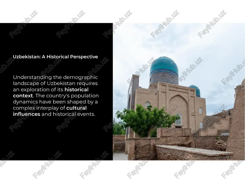understanding the demographic landscape of uzbekistan - Page 3