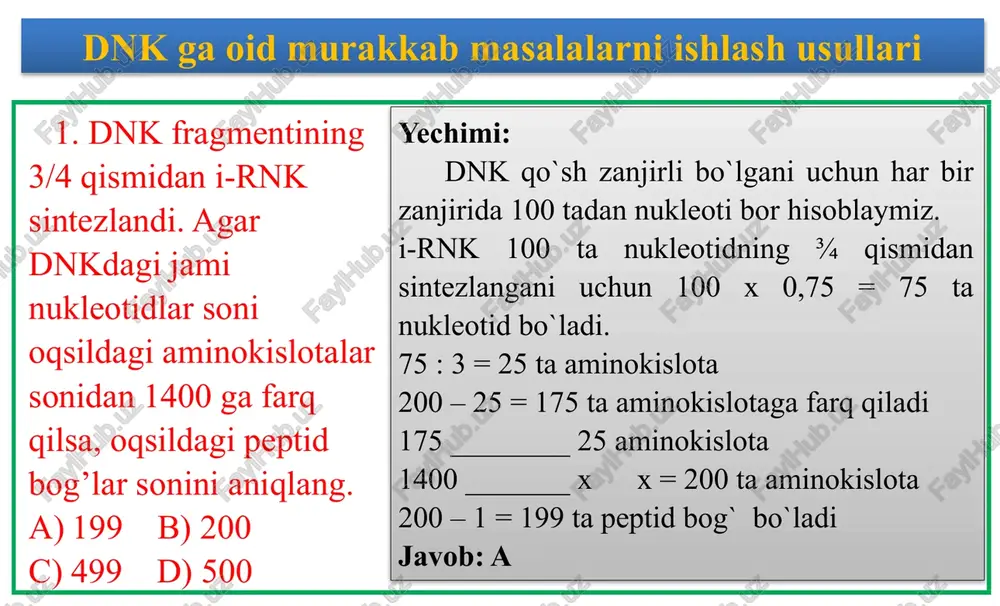 ullari yechimi: 110,5 / 0,34 = 325 ta nukleotid bir zanjirda 325 x 2 = 650 ta nukleotid dnk qo`sh zanjirda ecori fermenti dnk molekulasini bitta joydan kesganda 8 ta h bog` uzadi. abc bo`laklarga bo`lish uchun 2 ta joydan kesadi 2 x 8 = 16 ta h bog` 2 % ---------- 16 ta h bog` 100 % ------------ x x = 800 ta h bog` 2a + 3g = 800 2a + 2g = 650 g = 150 a = 175 175 x 2 = 350 ta h bog` a va t orasida javob: b 7. 42000 molekular og`irlikdagi oqsil sintezlashda i-rnkning 25% ishtrok etmagan bo`lsa, oqsil sintezida ishtrok etgan dnk dagi nukleotidlar yig`indisini toping. (oqsildagi bitta aminokislota og`irligi 120) a)2800 b)1200 c)3600 d)7200 dnk ga oid murakkab masalalarni ishlash usullari yechimi: 42000 / 120 = 350 ta aminokislota 350 x 3 = 1050 ta nukleotid i-rnk da i-rnk …
