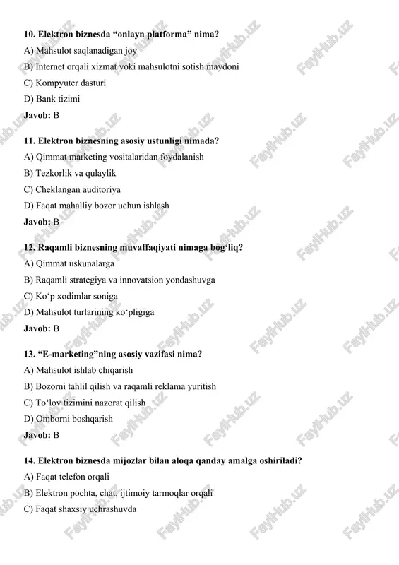 raqamli elektron biznes - Page 3