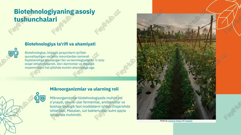 andislik yordamida, bunday usullar bemorlarning hayot sifatini yaxshilashga qaratilgan. masalan, covid-19 vaksinalari biotexnologik jarayonlar yordamida ishlab chiqarilgan. qishloq xoʻjaligida bioteknologiya qishloq xo'jaligida o'simliklarni genetik o'zgartirish orqali mahsuldorlikni oshirishga yordam beradi. o'simliklarning genetik modifikatsiyasi, kasallik va zararkunandalar bilan kurashish imkonini beradi. bu esa qishloq xo'jaligi mahsulotlarining sifatini va miqdorini oshiradi. misol uchun, pestitsidga chidamli o'simliklar ishlab chiqarilishi qishloq xo'jalik ishlab chiqaruvchilariga katta foyda keltiradi. sanoatda bioteknologiya sanoat sohasida ham keng qo'llaniladi. u yangi materiallar ishlab chiqarish, energiya ishlab chiqarish va chiqindilarni qayta ishlashda muhim ahamiyatga ega. misol uchun, mikroorganizmlar yordamida bioyoqilgi ishlab chiqarish ekologik toza energiya manbalarini yaratadi. bu jarayonlar sanoatning barqaror rivojlanishini ta'minlaydi. atrof-muhitni muhofaza qilish bioteknologiya atrof-muhitni muhofaza qilishda ham qo'llaniladi. u biologik tozalash jarayonlarida, masalan, ifloslangan suv va tuproqni tozalashda yordam beradi. mikroorganizmlar yordamida chiqindilarni kamaytirish va tabiiy resurslarni saqlash mumkin. shunday qilib, bioteknologiya ekologik muammolarni hal qilishda samarali vosita bo'lib xizmat qiladi. photo by annie spratt on …