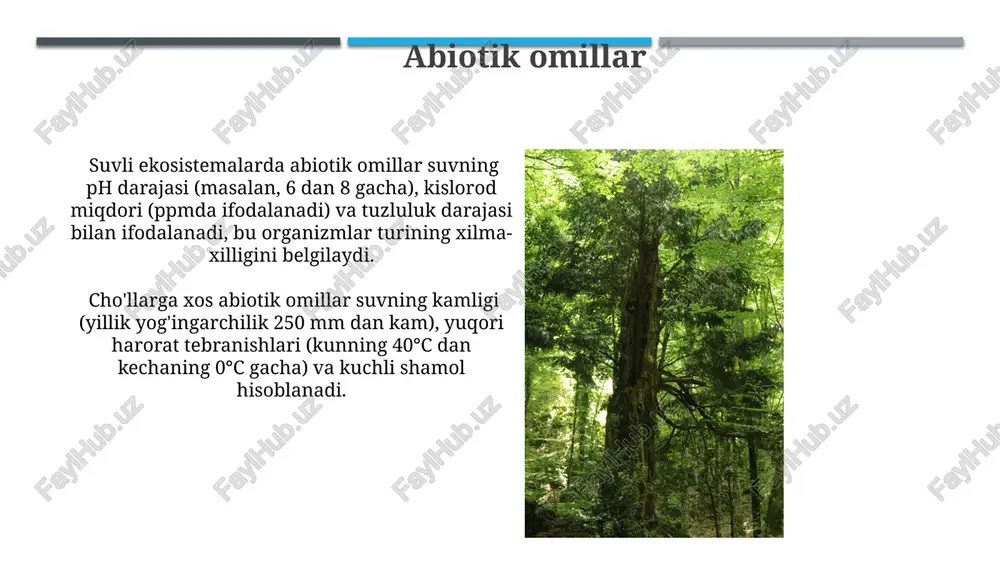 i mumkin. tropik o'rmon biomlari ekvator atrofida, taxminan 0° dan 23.5° shimoliy va janubiy kengliklar orasida joylashgan bo'lib, yillik yog'ingarchilik miqdori 2000 mm dan ortiq. biomning iqlim sharoiti tropik o'rmon biomining yuqori harorat (20-30°c) va yillik yog'in miqdori 2000 mm dan yuqori bo'lgan issiq va nam iqlim sharoitida shakllanadi, bu yuqori bioxilma-xillikni qo'llab-quvvatlaydi. cho'l biomining yillik yog'in miqdori 250 mm dan kam bo'lgan hududlarda, tuproq unumdorligi past va o'simlik qoplami chegaralangan bo'lgan qurg'oqchil iqlim sharoitida mavjud. moddalar aylanishi moddalar aylanishining 5 ta asosiy turi mavjud: suv, karbon, azot, fosfor va oltingugurt aylanishlari, bu jarayonlar yer sayyorasidagi hayotning davomiyligi uchun juda muhim hisoblanadi. organik moddalarni parchalanishi va mineralizatsiyasi tufayli 100% ga yaqin miqdorda moddalar qayta ishlanadi, bu esa ekosistemaning barqarorligini ta'minlaydi. ekosistemalar ekosistemalar oʻz-oʻzini boshqarish qobiliyatiga ega boʻlib, bu ularning tashqi ta'sirlarga nisbatan chidamliligini va 5 dan ortiq atrof-muhit sharoitlariga moslashishini belgilaydi. ekosistemaning barqarorligi, energiya oqimining samaradorligi va moddalar aylanishining tezligiga, …