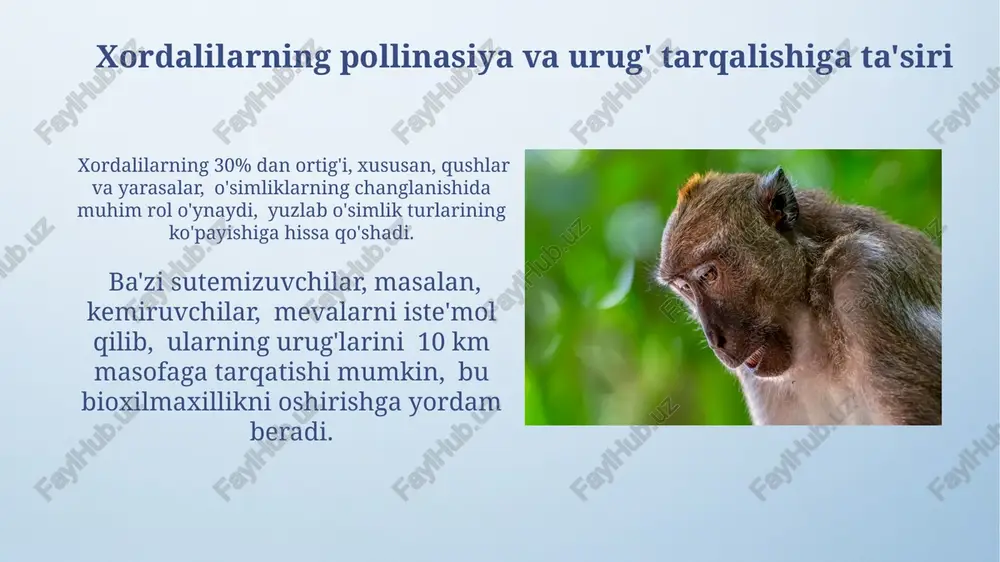 ing inson faoliyati bilan o'zaro ta'siri baliqchilik sanoati yillik 100 million tonnadan ortiq baliqni (xordalilar sinfiga mansub) o'zlashtirib, oziq-ovqat xavfsizligi va iqtisodiyotga sezilarli hissa qo'shadi, lekin haddan tashqari ovlanish xavfi mavjud. xordalilarning 70% dan ortig'i suv muhitlarida yashaydi va suv havzalari ifloslanishi, ya'ni 5 ppm dan yuqori bo'lgan og'ir metallar konsentratsiyasi ularning populyatsiyasiga salbiy ta'sir ko'rsatadi. xordalilarning parazit va kasalliklarga ta'siri qushlar va sutemizuvchilar orasida xordali hayvonlarning ba'zi parazit turlari, masalan, qonli protozoa 20% gacha o'limga olib kelishi mumkin. xordalilarning ba'zi turlari, masalan, 30 dan ortiq parazit turlari bilan infektsiyalanib, boshqa hayvonlarga yuqumli kasalliklar tarqalishiga sabab bo'lishi mumkin. xordalilarning biogeografik tarqalishi dengiz xordalilarining, masalan, baliqlarning tarqalishi suvning tuzlilik darajasi, harorati va oqimlari kabi omillar bilan belgilanadi, bu esa turli-tuman ekologik bo'laklarni hosil qiladi. xordalilarning biogeografik tarqalishi yer sharining deyarli barcha burchaklarini, taxminan 90% suvli muhitlarini va 10% quruqlikni qamrab oladi, bu ularning muhitga moslashuvchanligini ko'rsatadi. shirin suv muhitlarida xordalilarning roli …